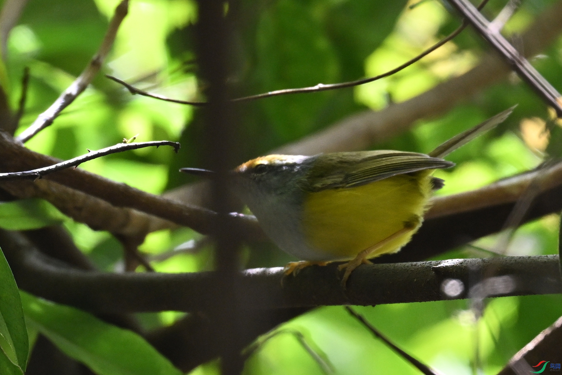 DSC_5953.JPG