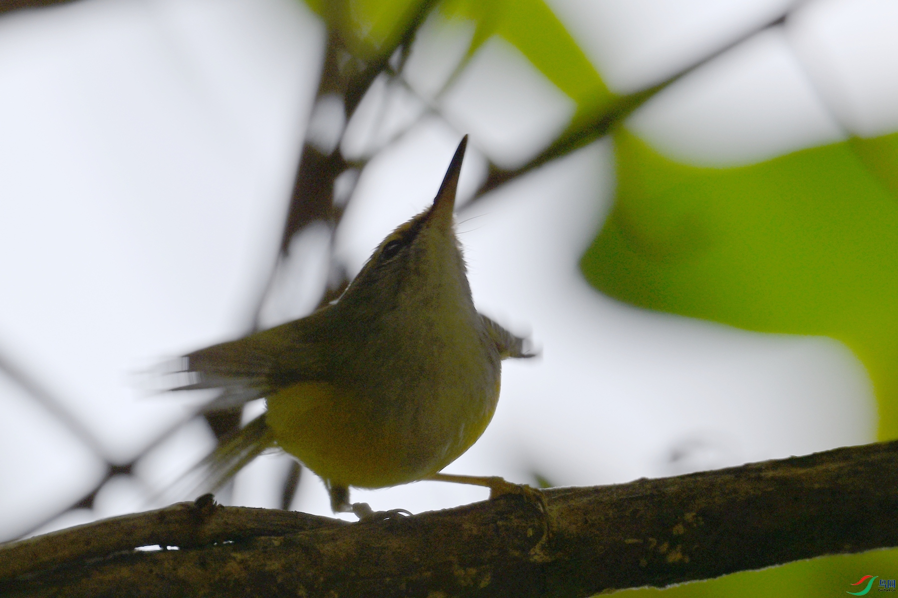 DSC_5941.JPG
