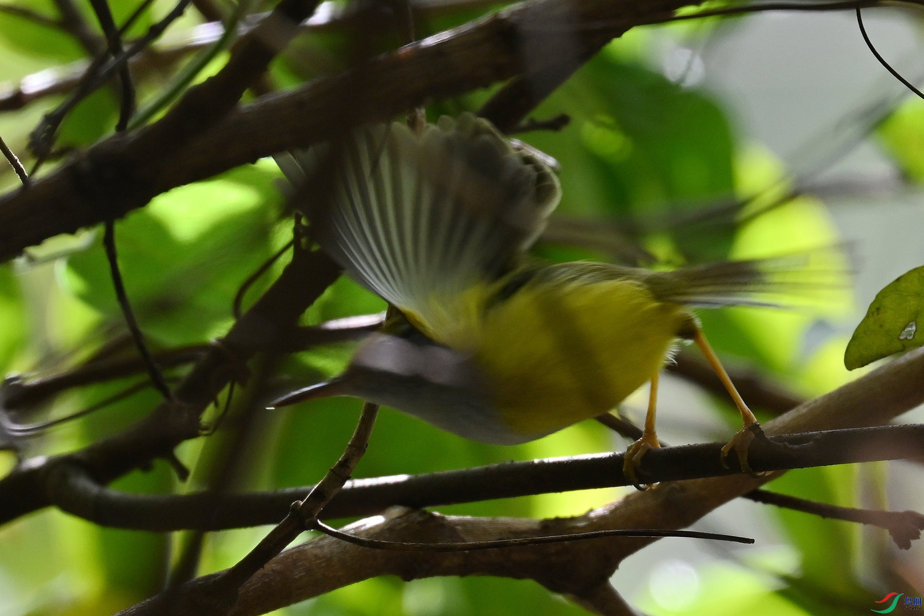 DSC_5930.JPG