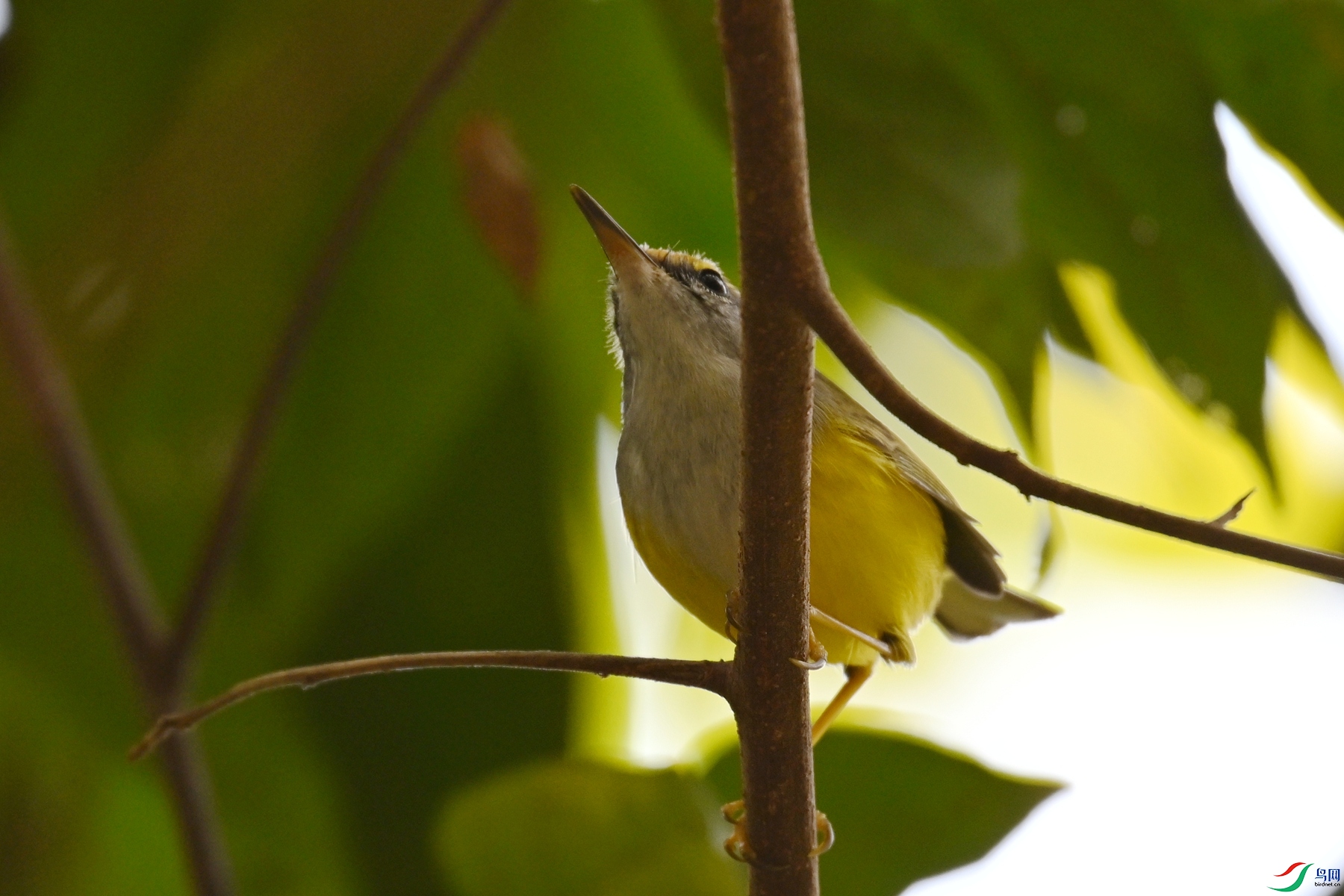 DSC_5935.JPG