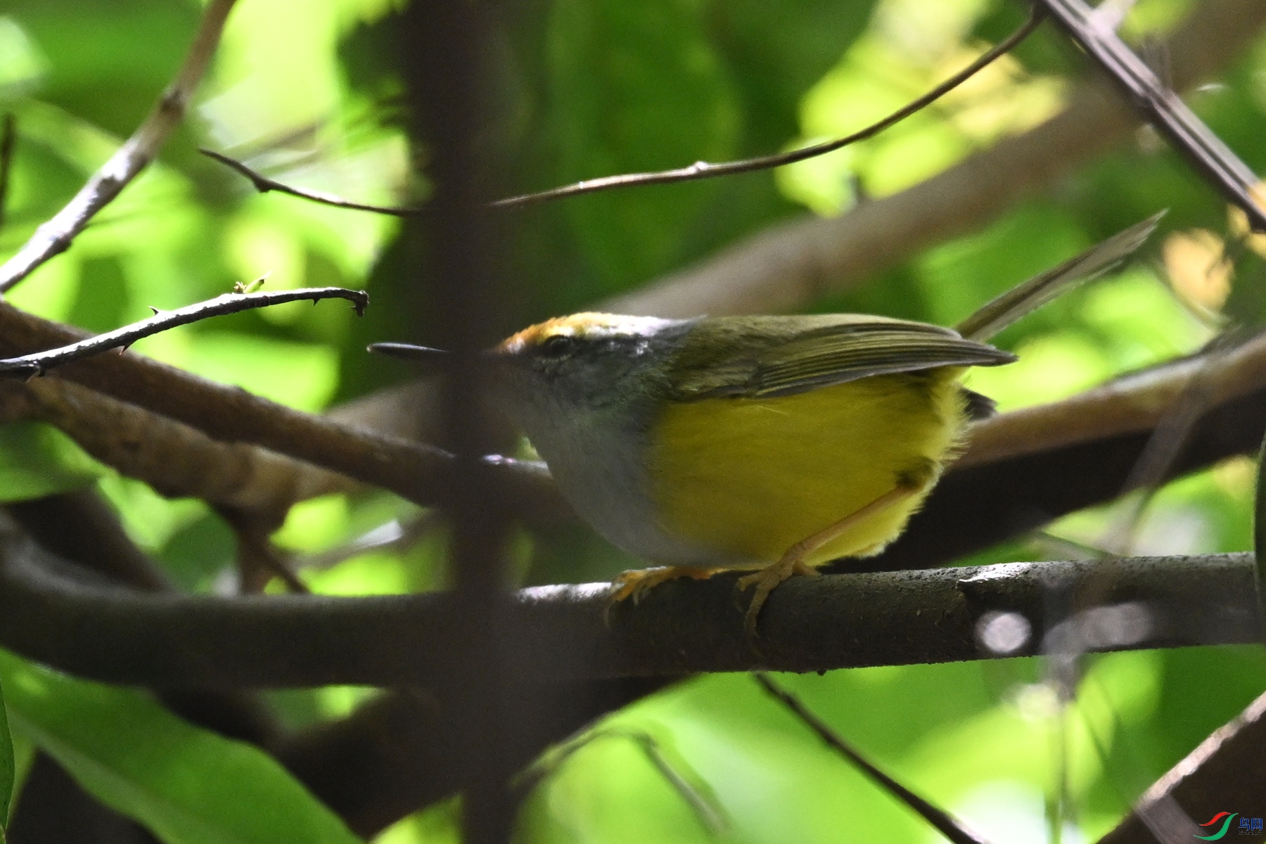 DSC_5955.JPG
