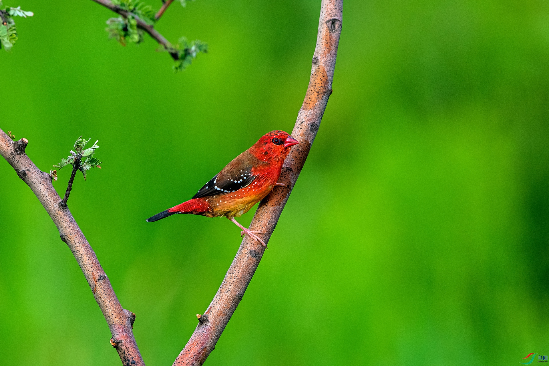 _AUU6820 ��÷��ȸ(25.7.7).jpg