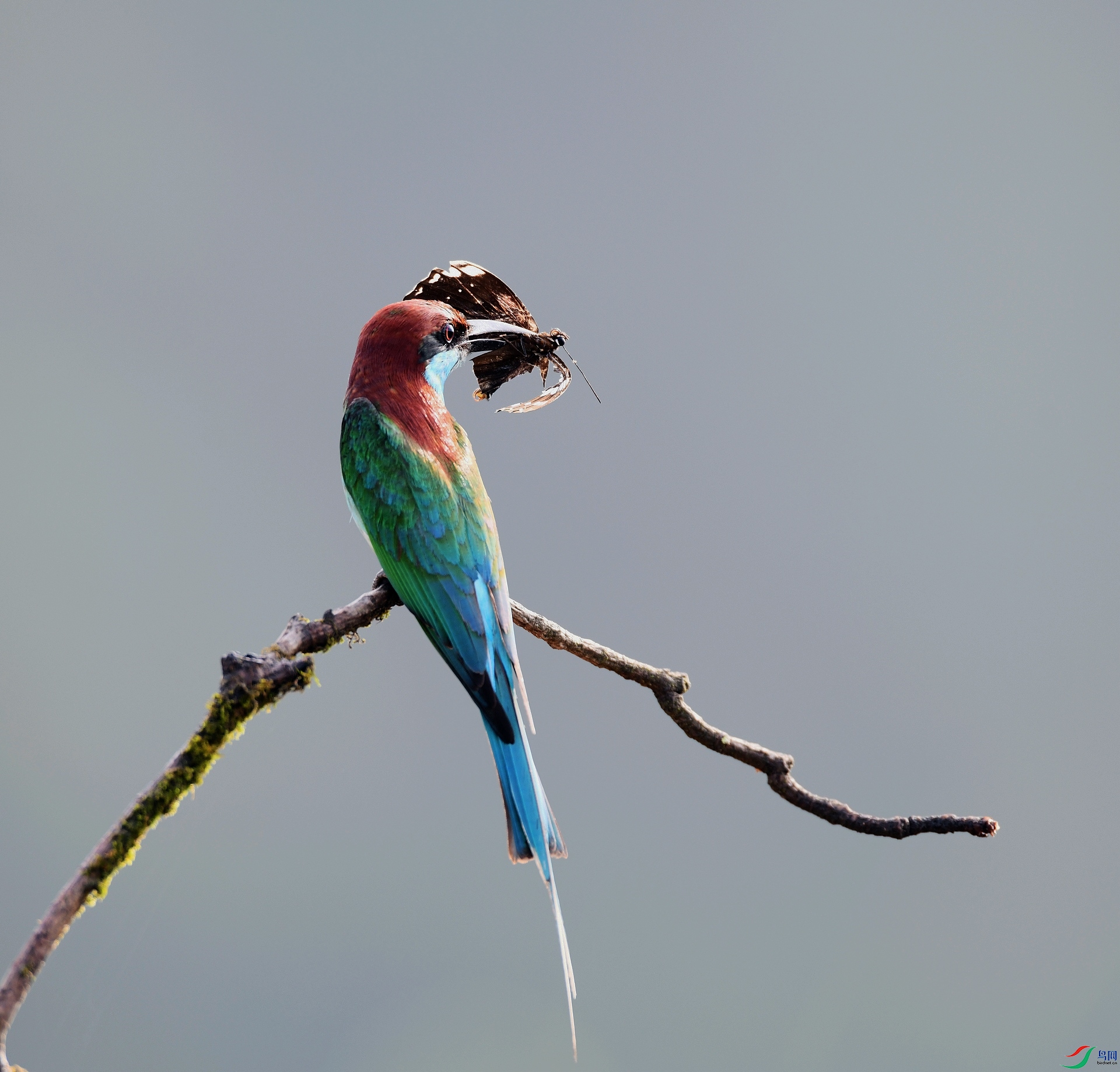 DSC_9587.jpg