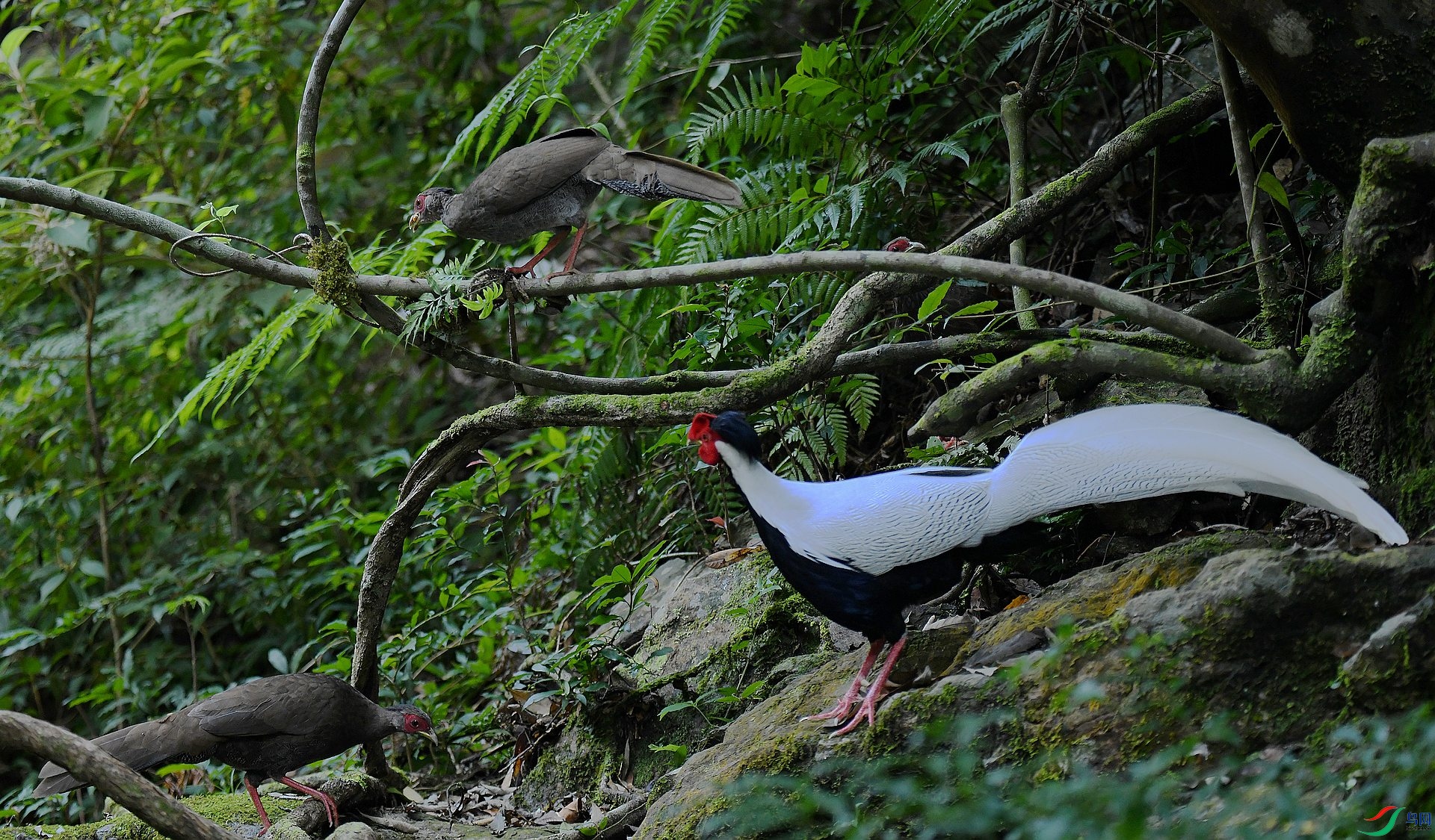 DSC_8807.jpg