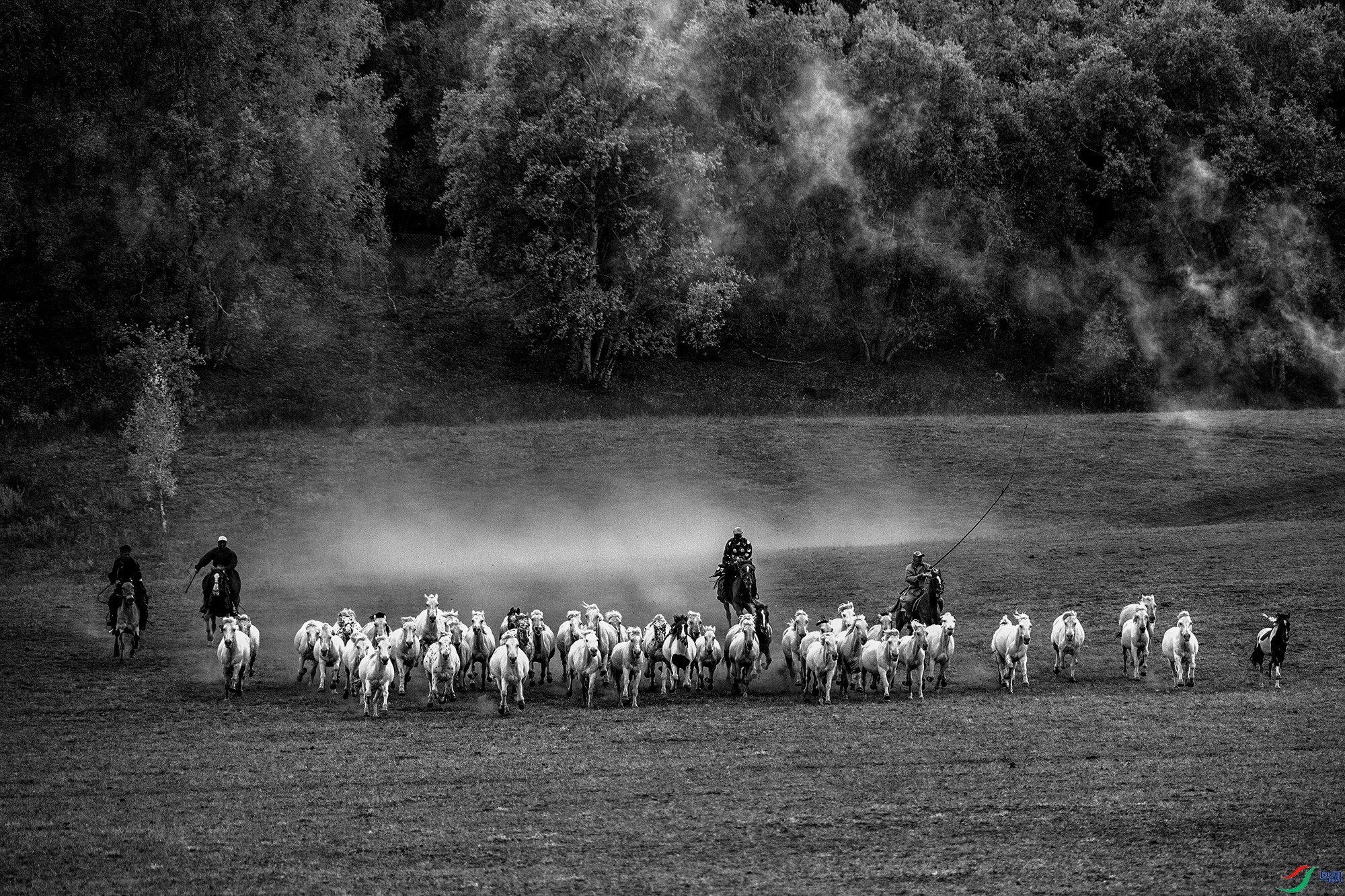 DSC_7256 ����2211.jpg