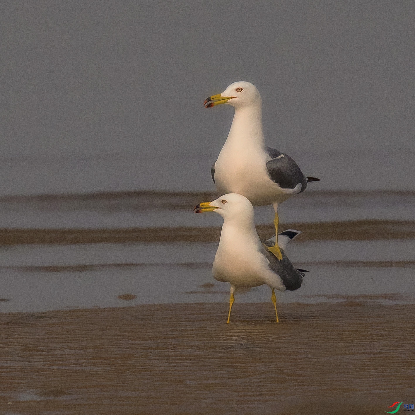 _90I8740 ���� 2.jpg