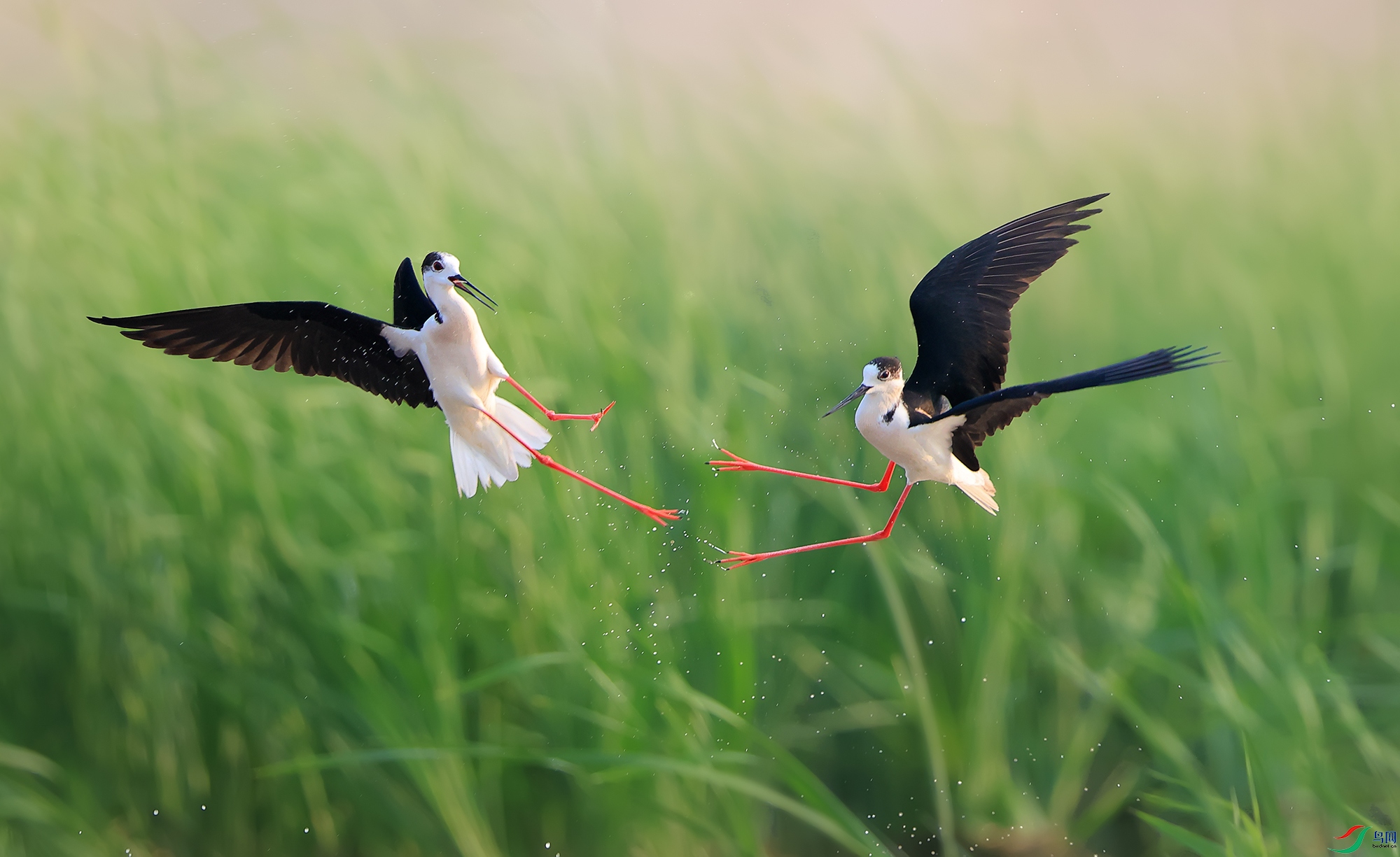 0E8A7700-����.jpg
