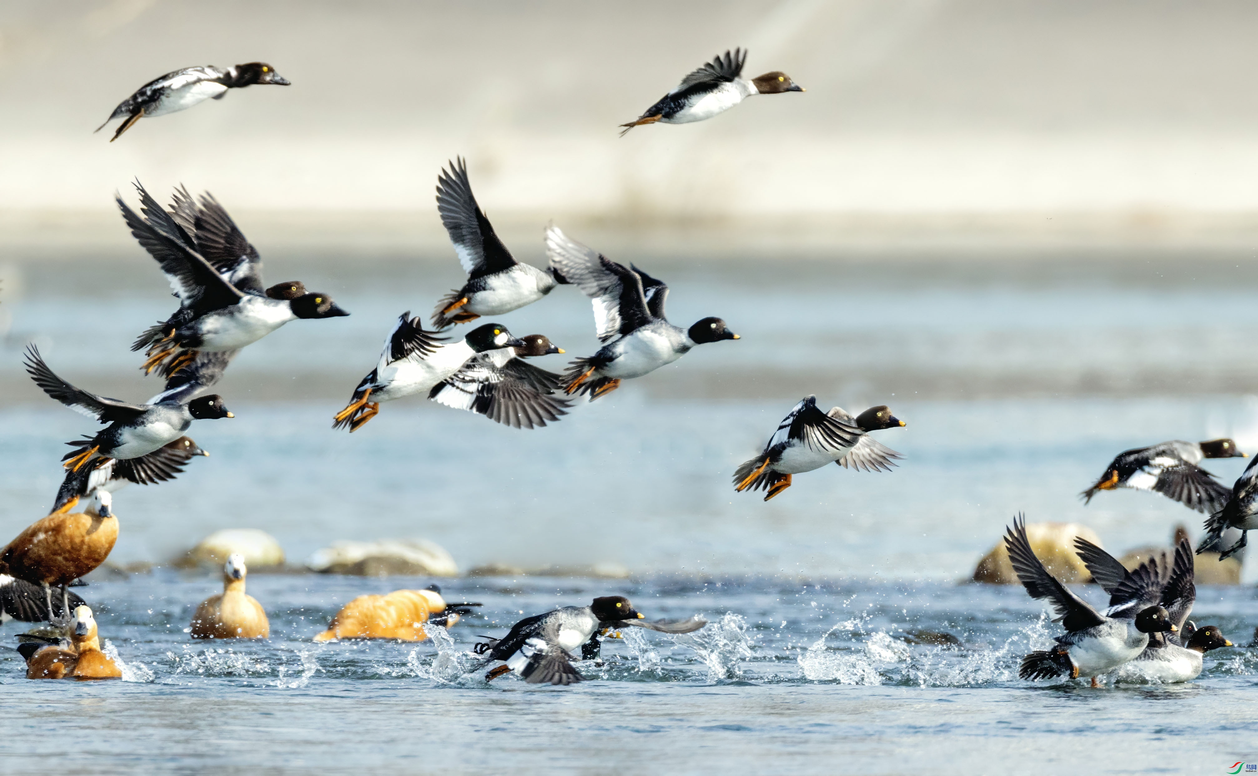 5N9A0304 ���� 2.jpg