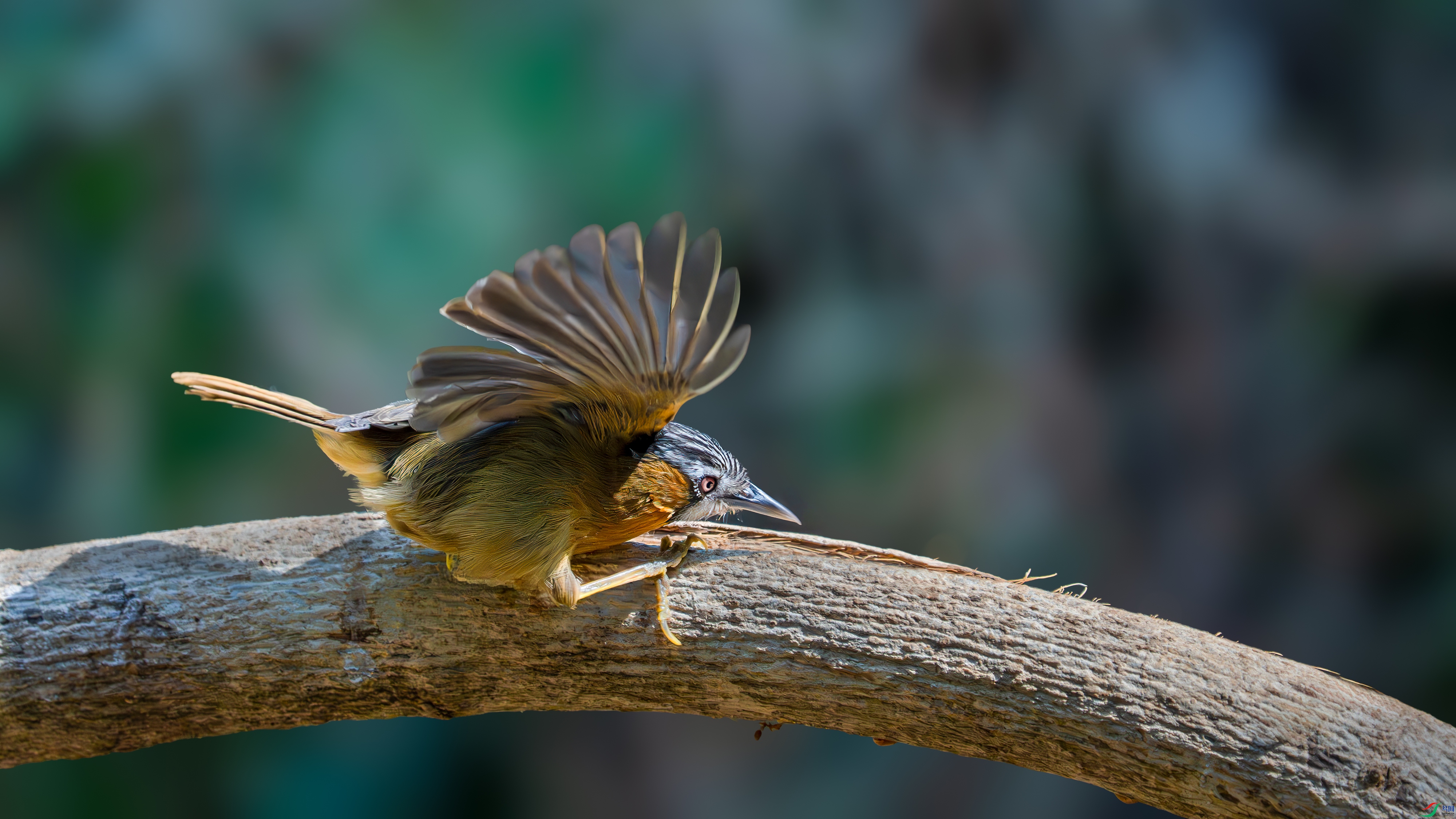 _DSC3507 ����.jpg