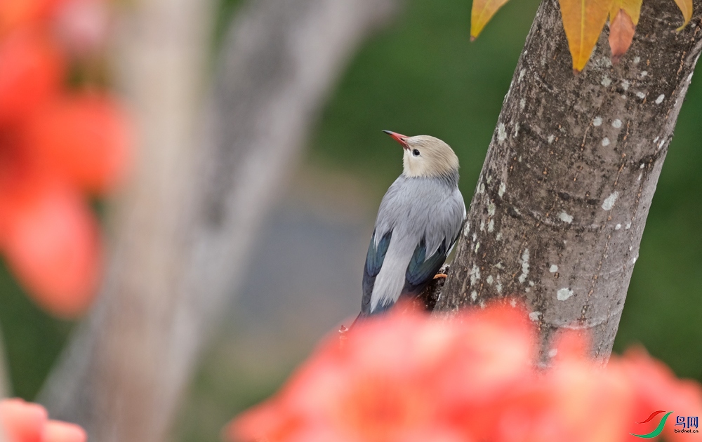DSCF7170.1.jpg