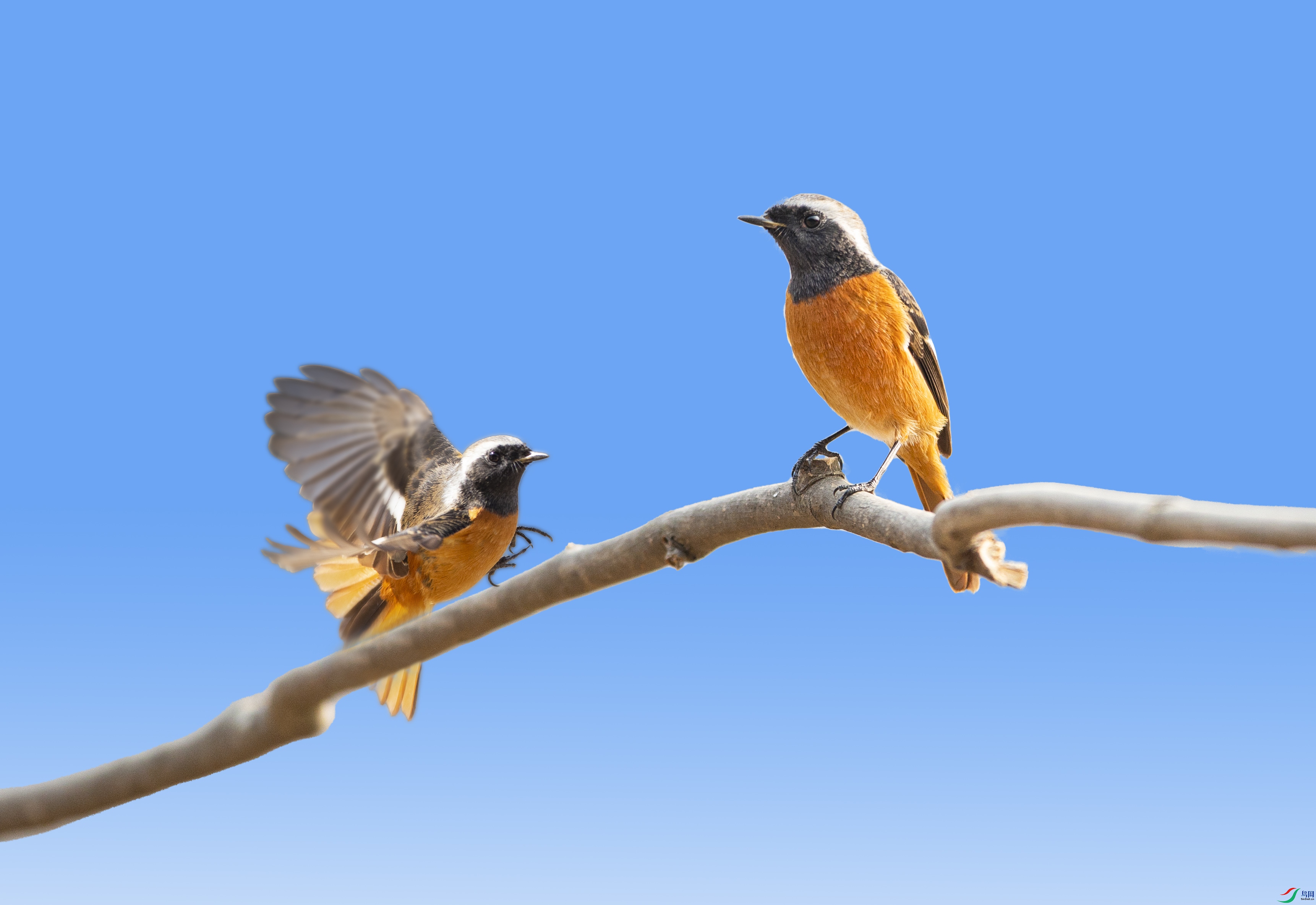 AP9T3457 ����.jpg