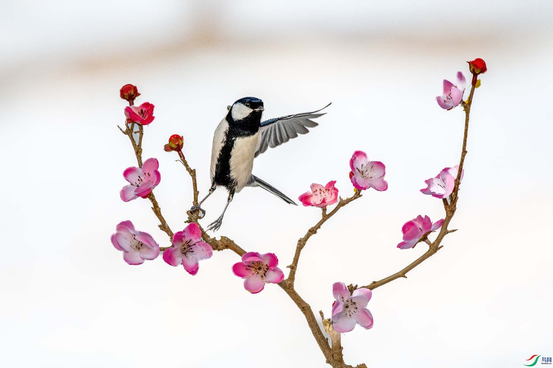 DSC_6346_��ͼ�� ����.jpg