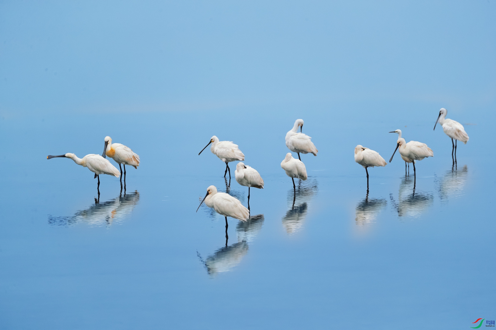 ��������----��������