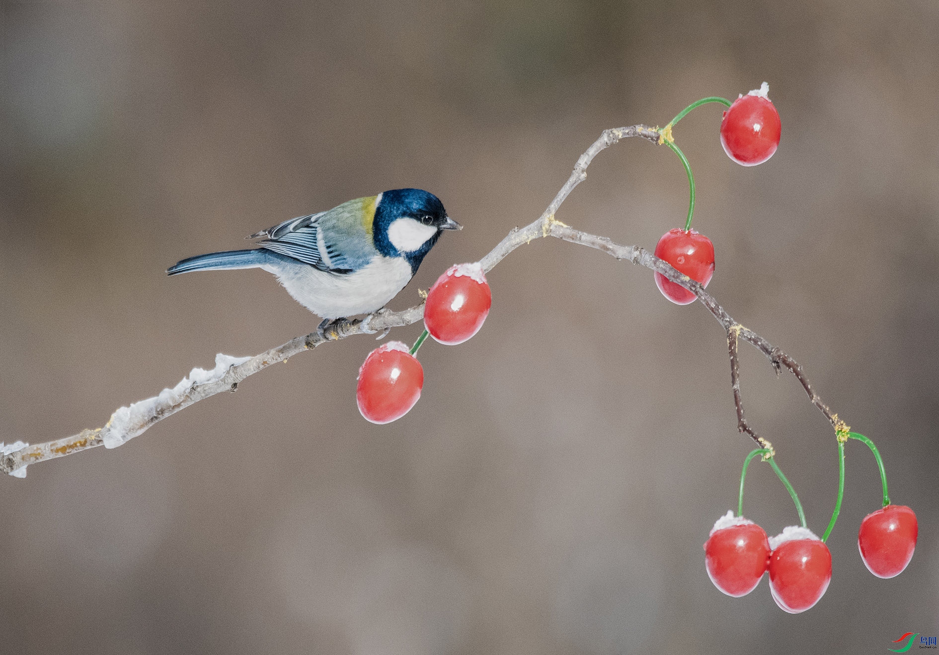 DSC_4215 ���� 2.jpg