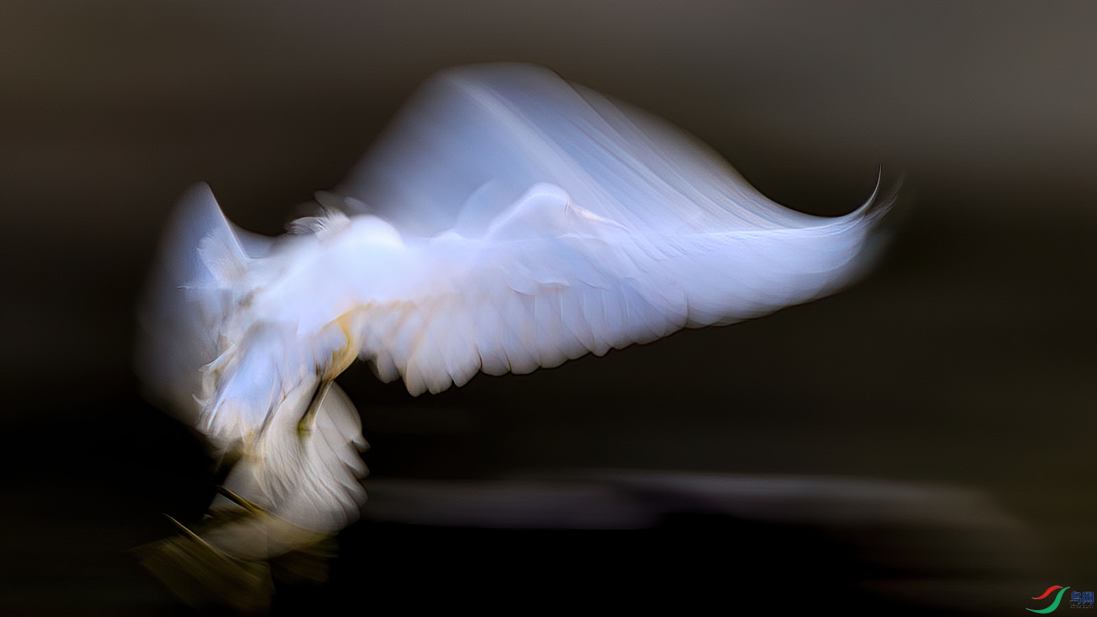 2P5A1119-DeNoiseAI-clear (1).JPG