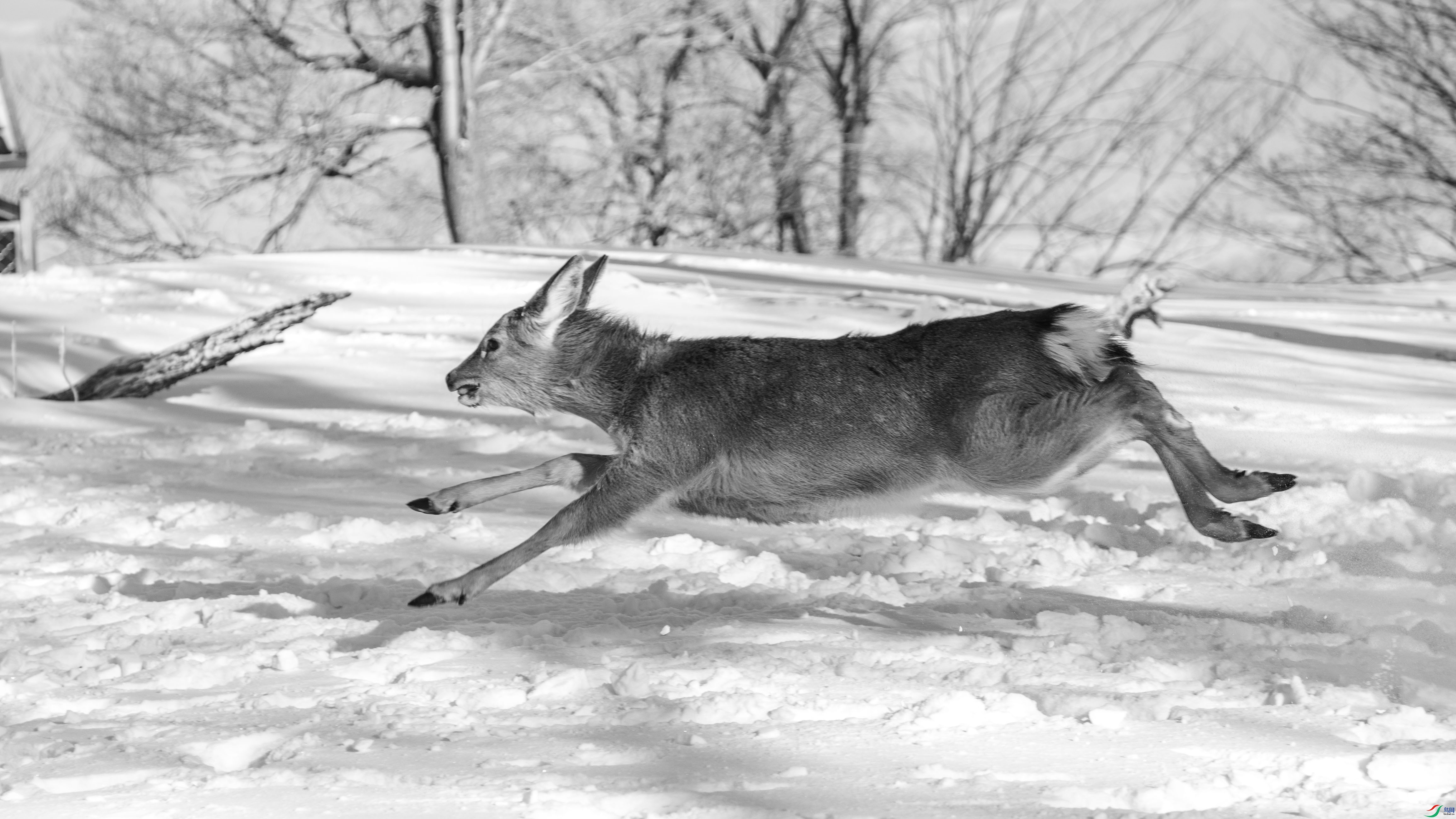 DSC_5148 ����.jpg