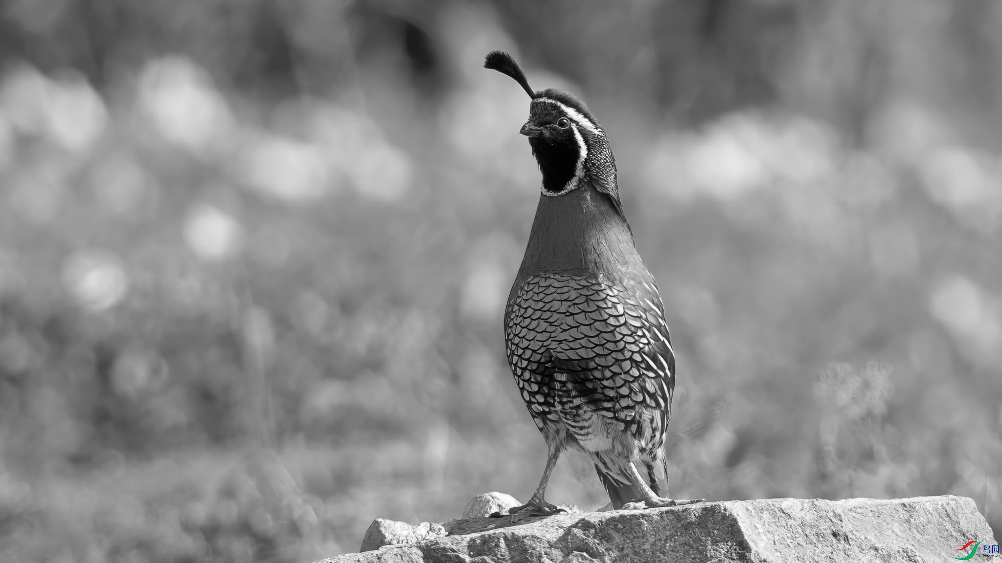 DSC07762 ���� 2.jpg