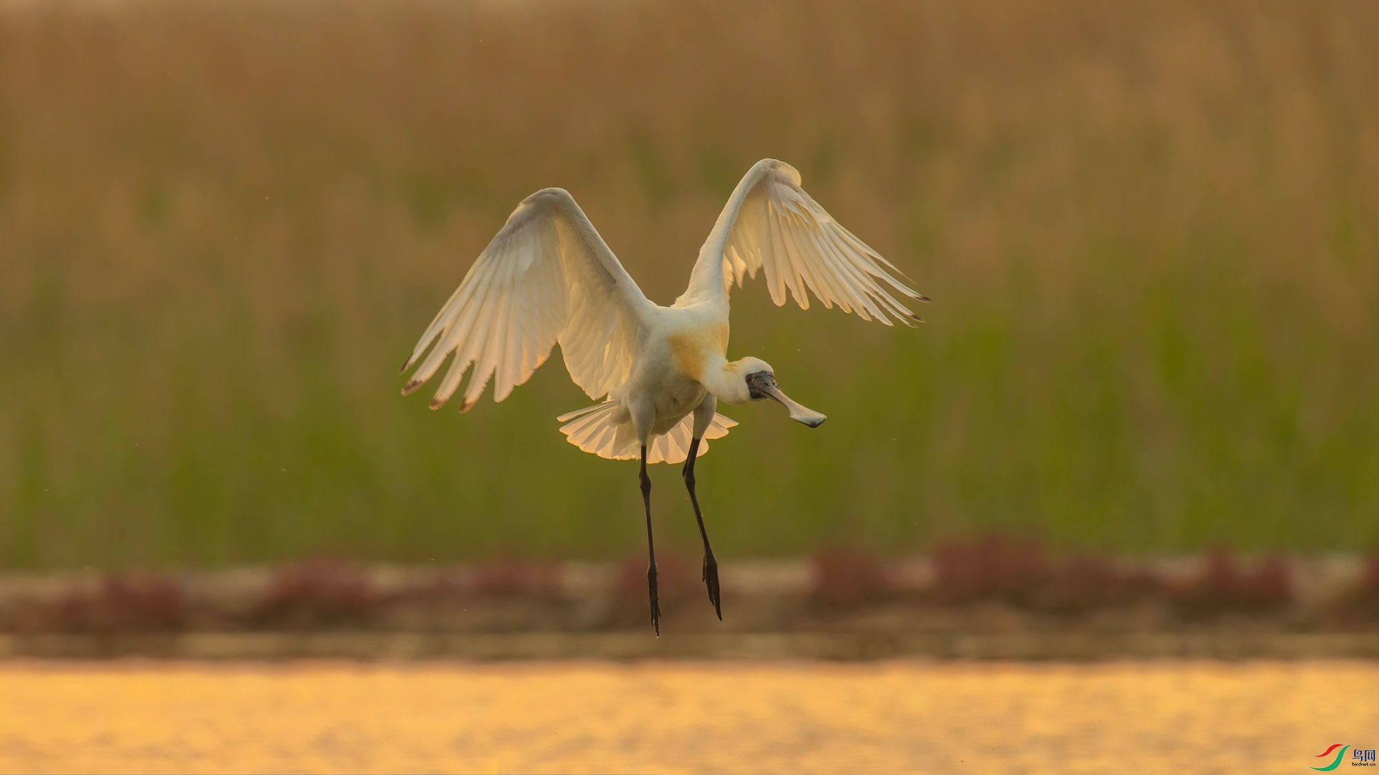 �������� (1).jpg