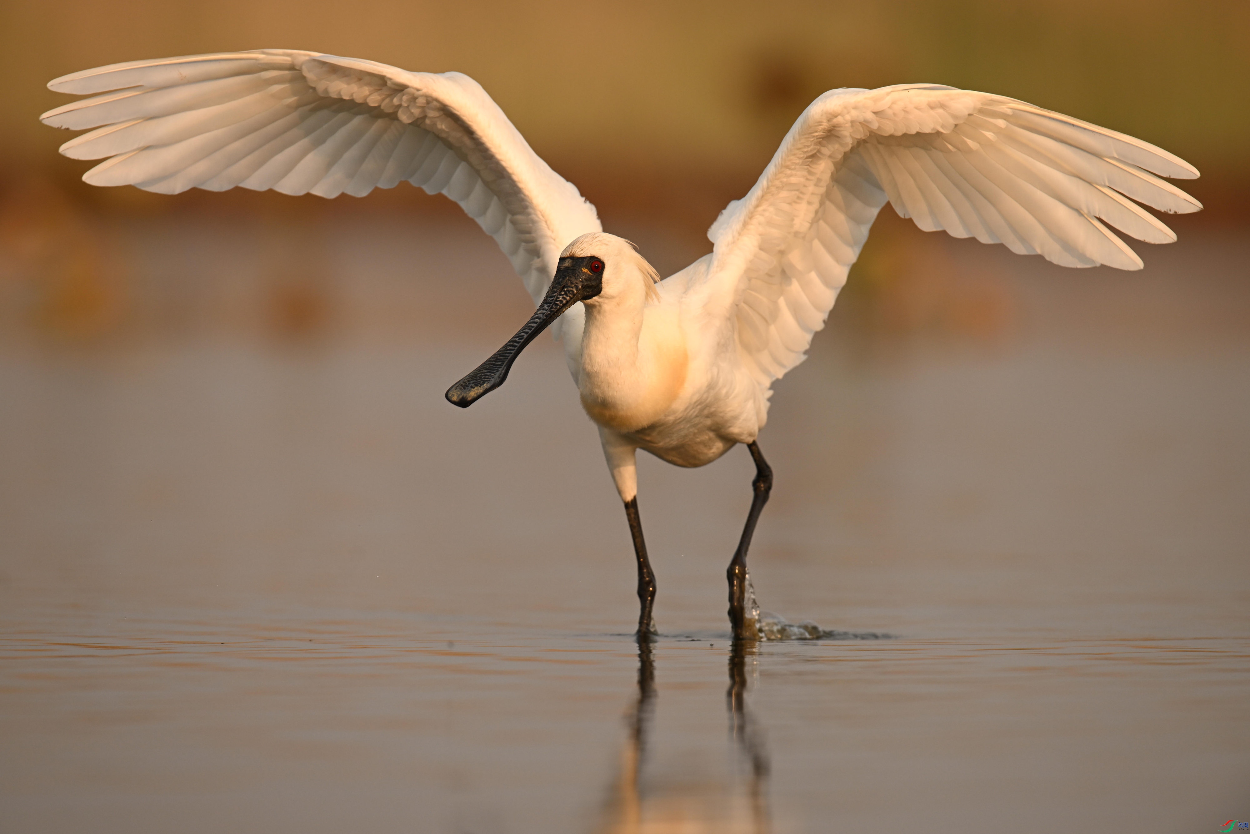 �������� (3).jpg