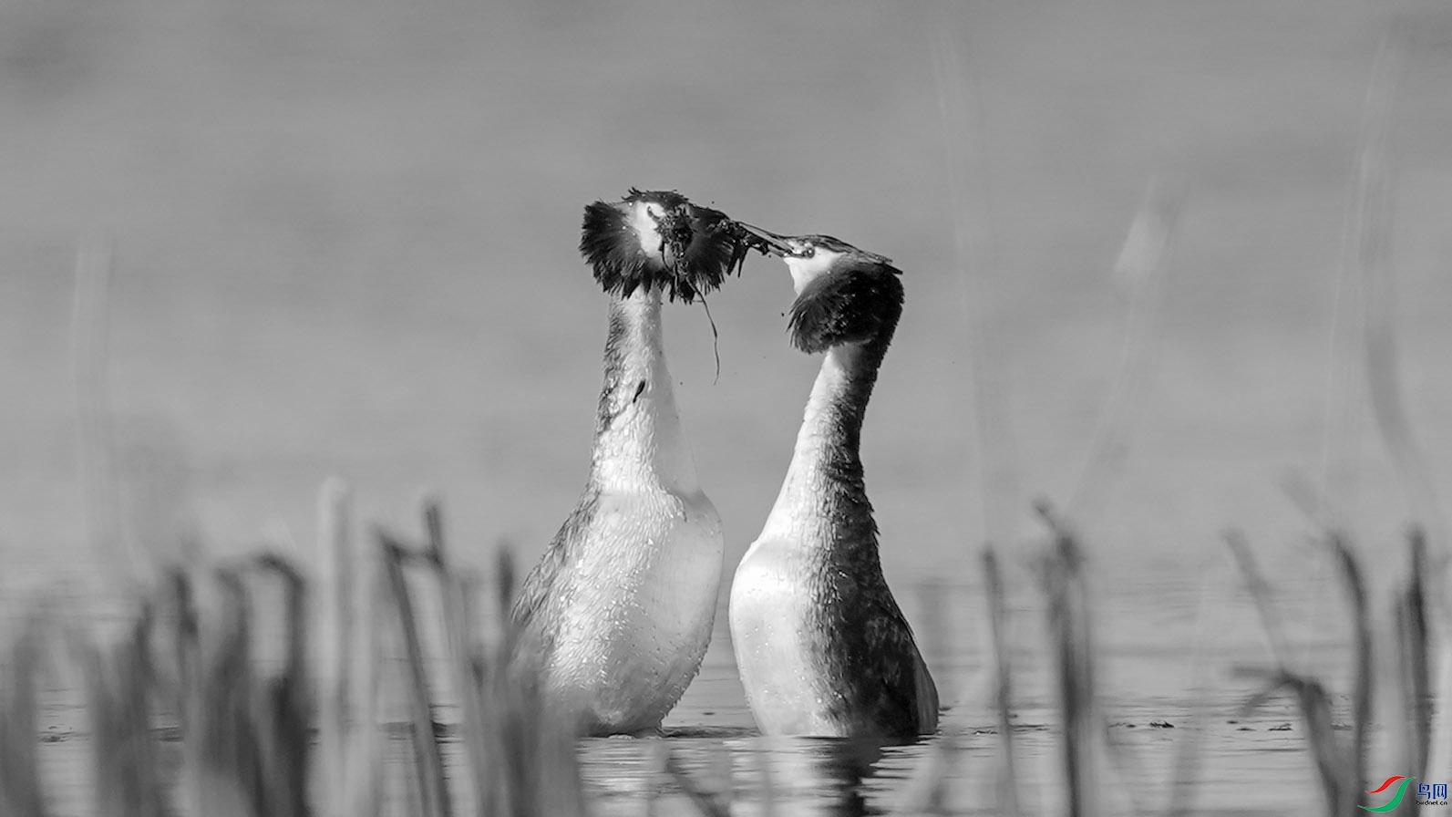 DSC06242a ����H.jpg