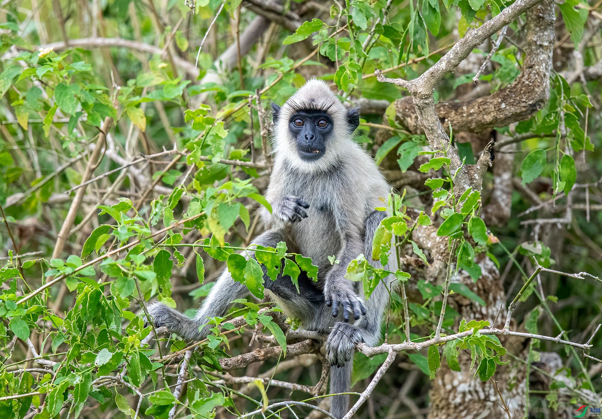 AC3I5330 ����_����.jpg