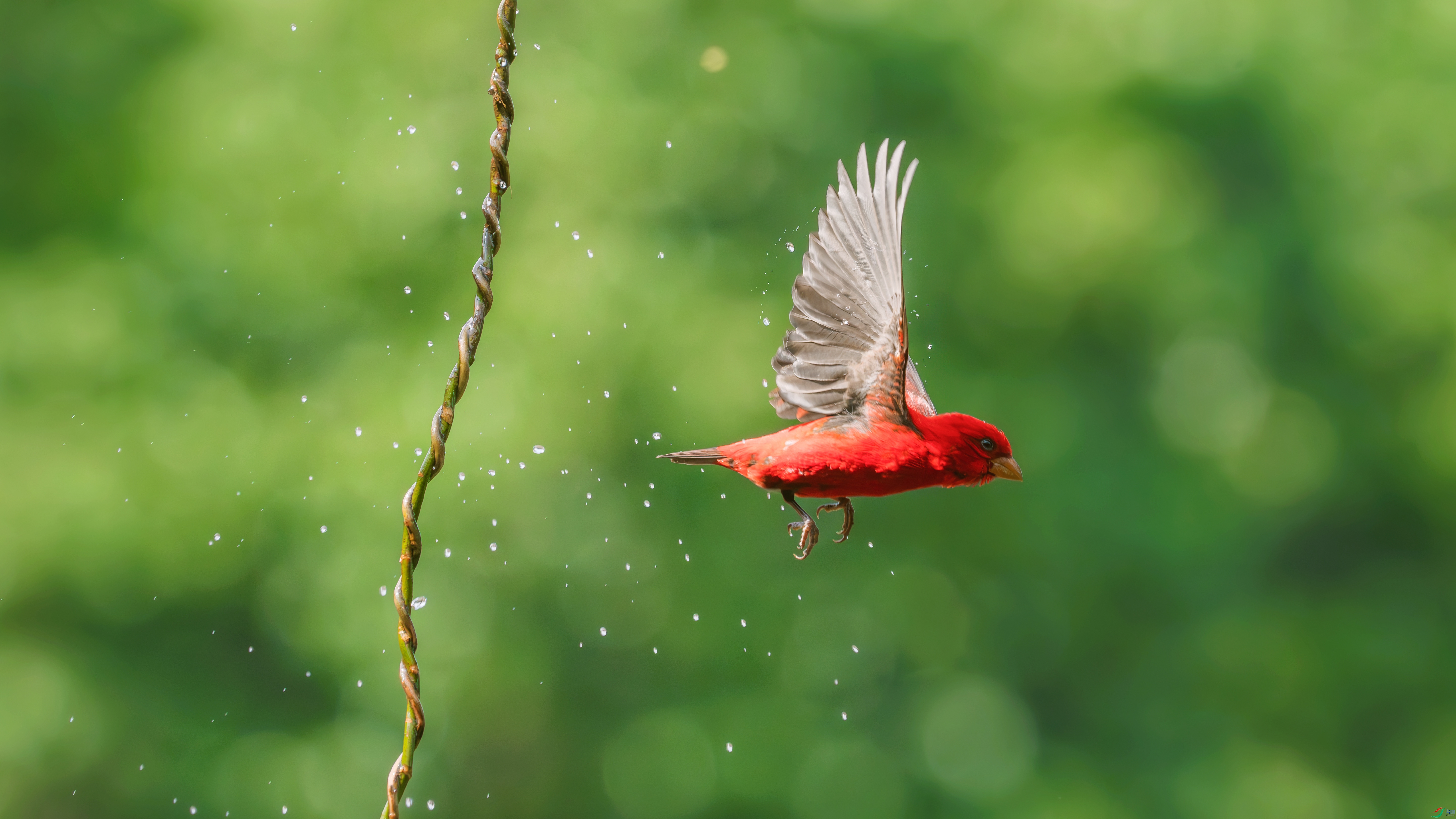 _DSC6160 ����_����.jpg