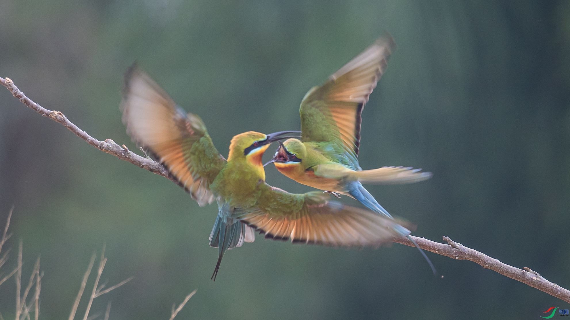 _DSC2768 ����.jpg