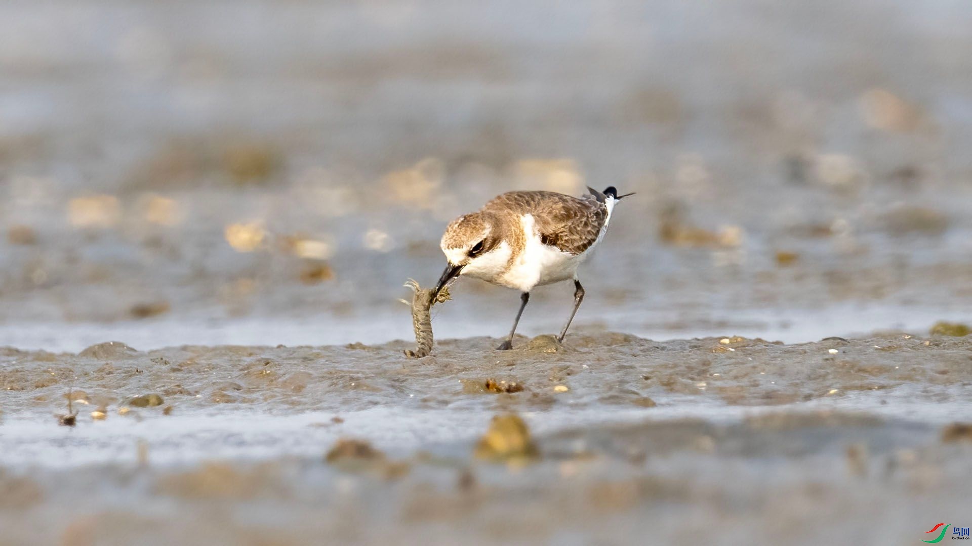 _DSC7580 ����.jpg