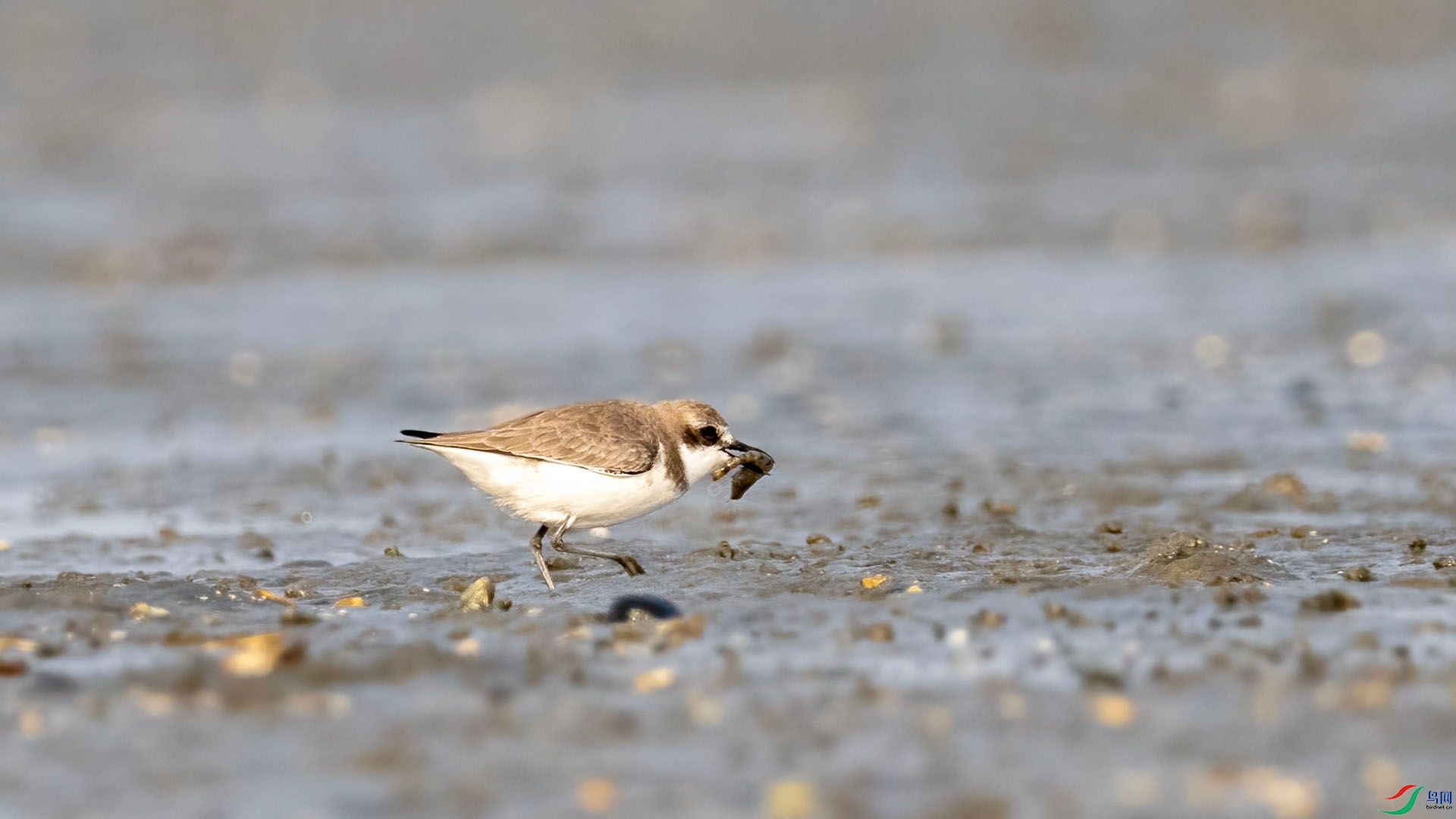 _DSC7610 ����.jpg