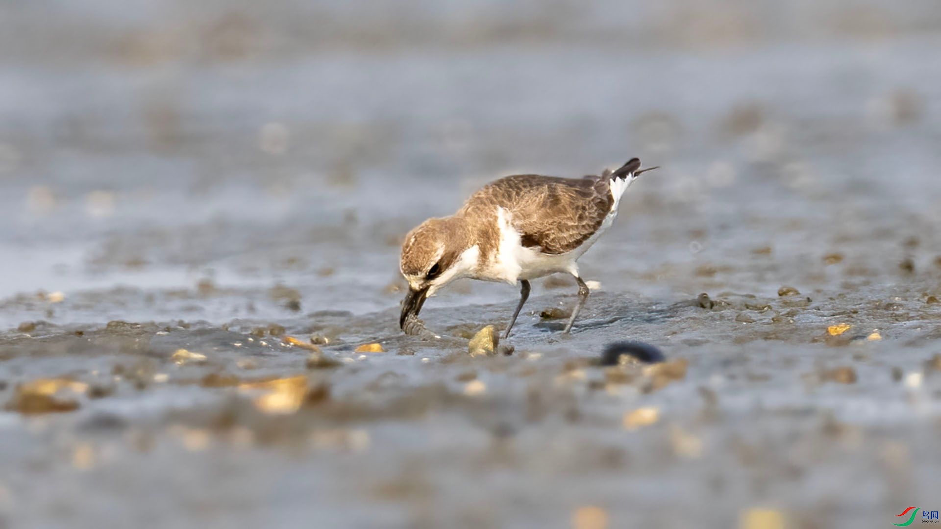 _DSC7613 ����.jpg