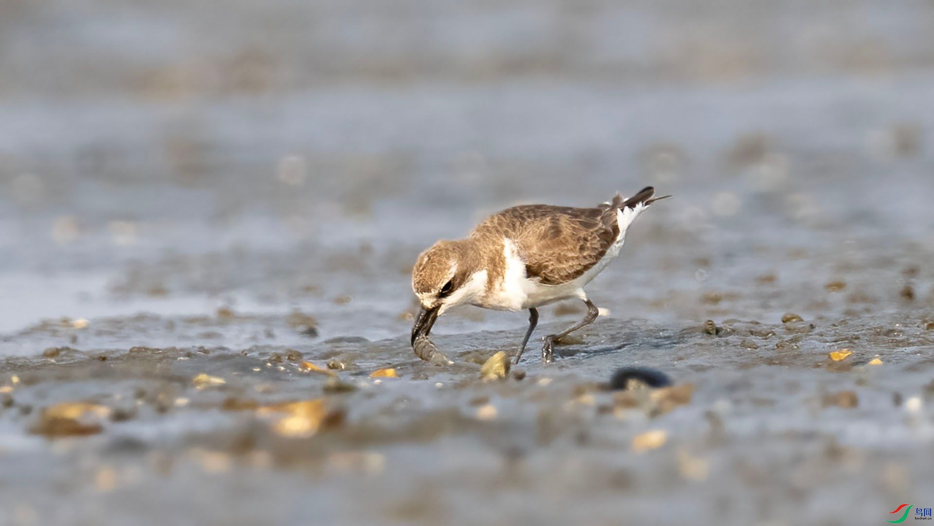 _DSC7614 ����.jpg