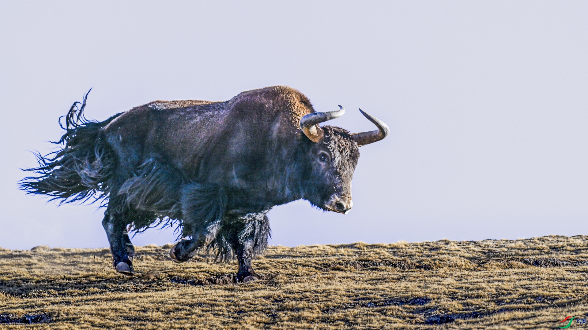 _DSC5301_���� ����.jpg