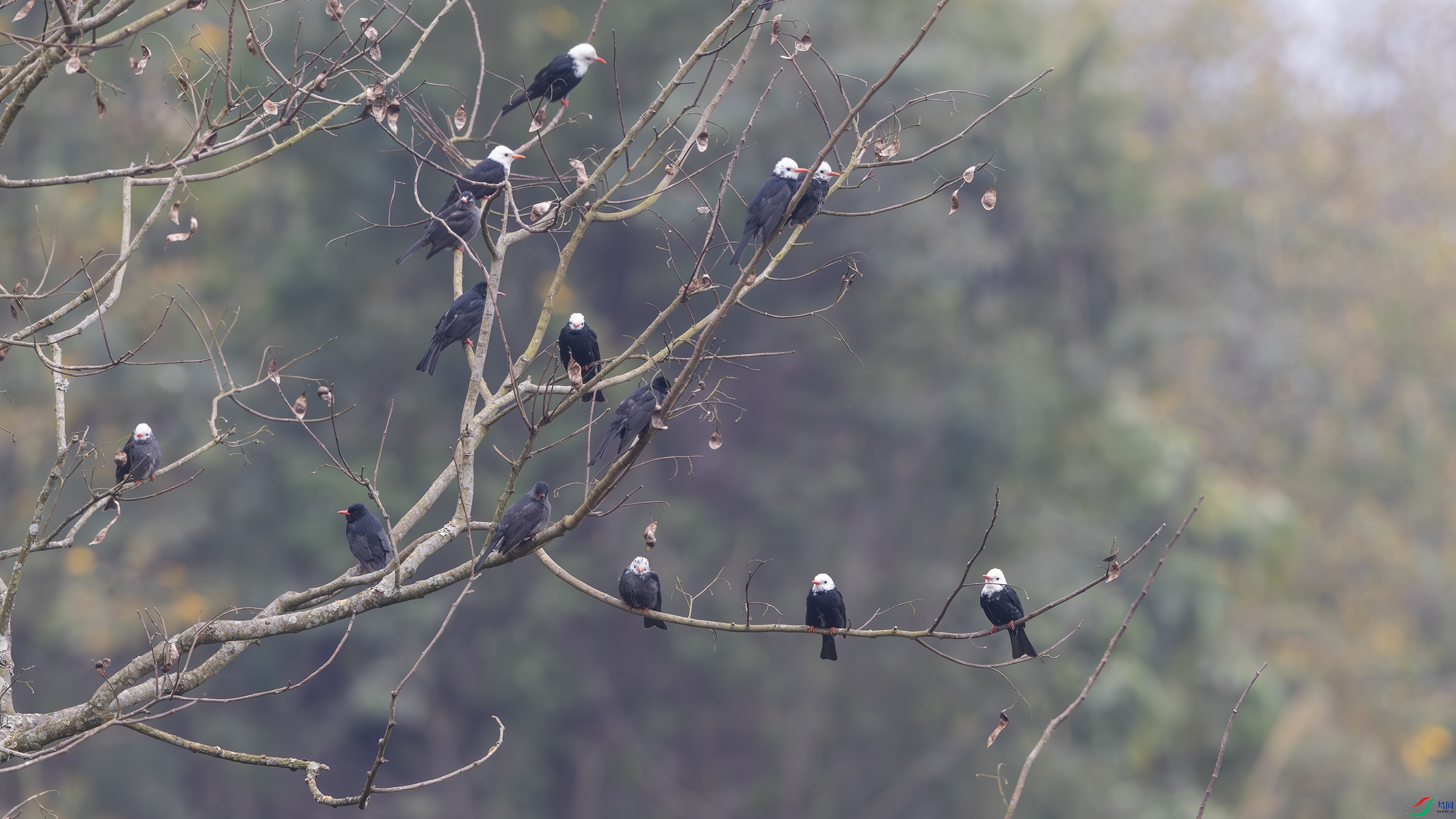 _O7A2981-�ڶ̽��� 44.jpg