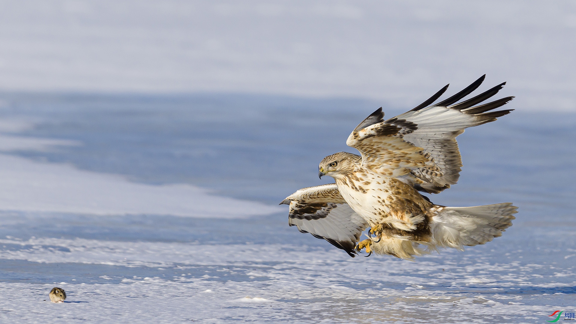 051A0905 ����n.jpg