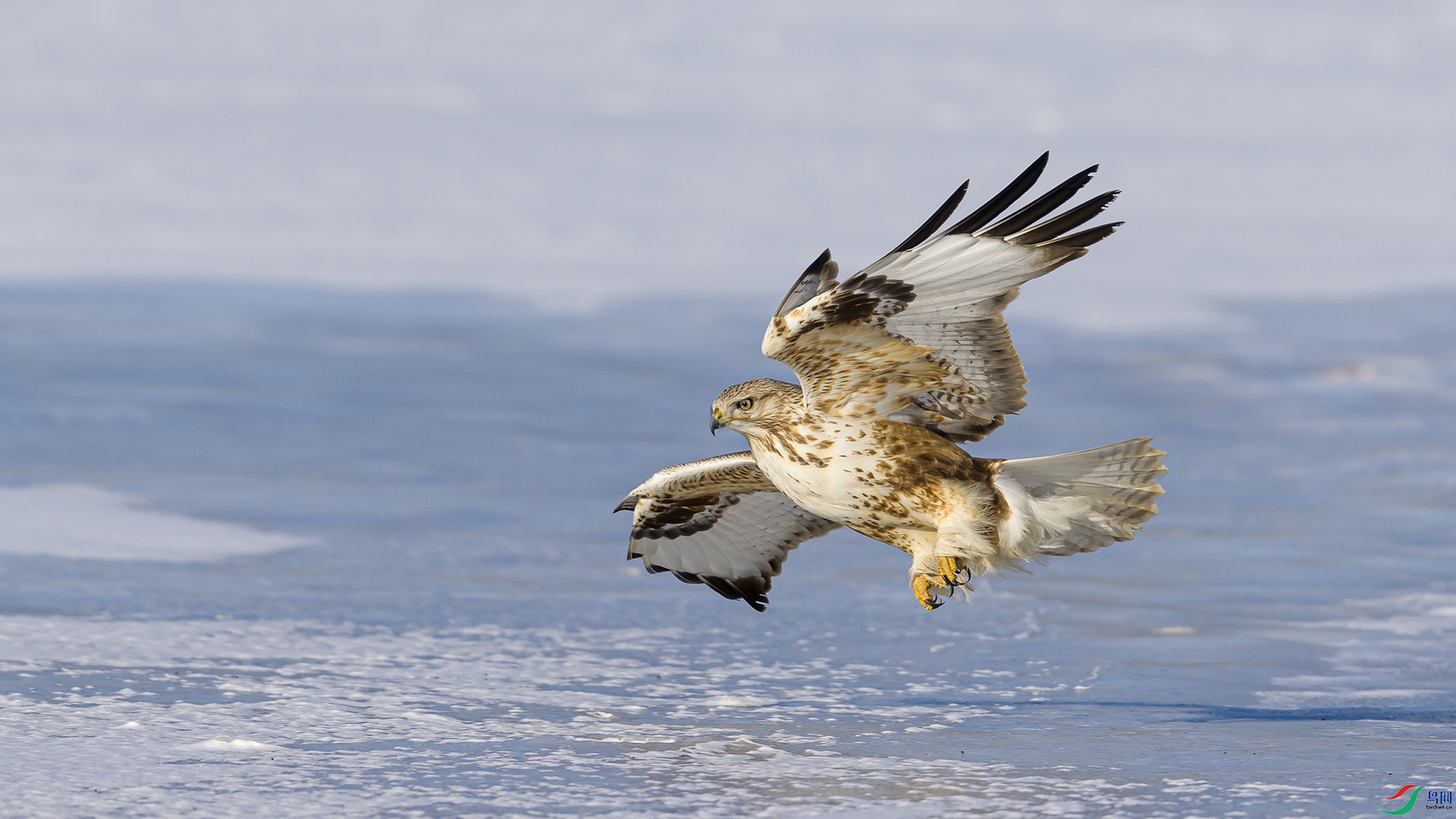 051A0904 ����n.jpg