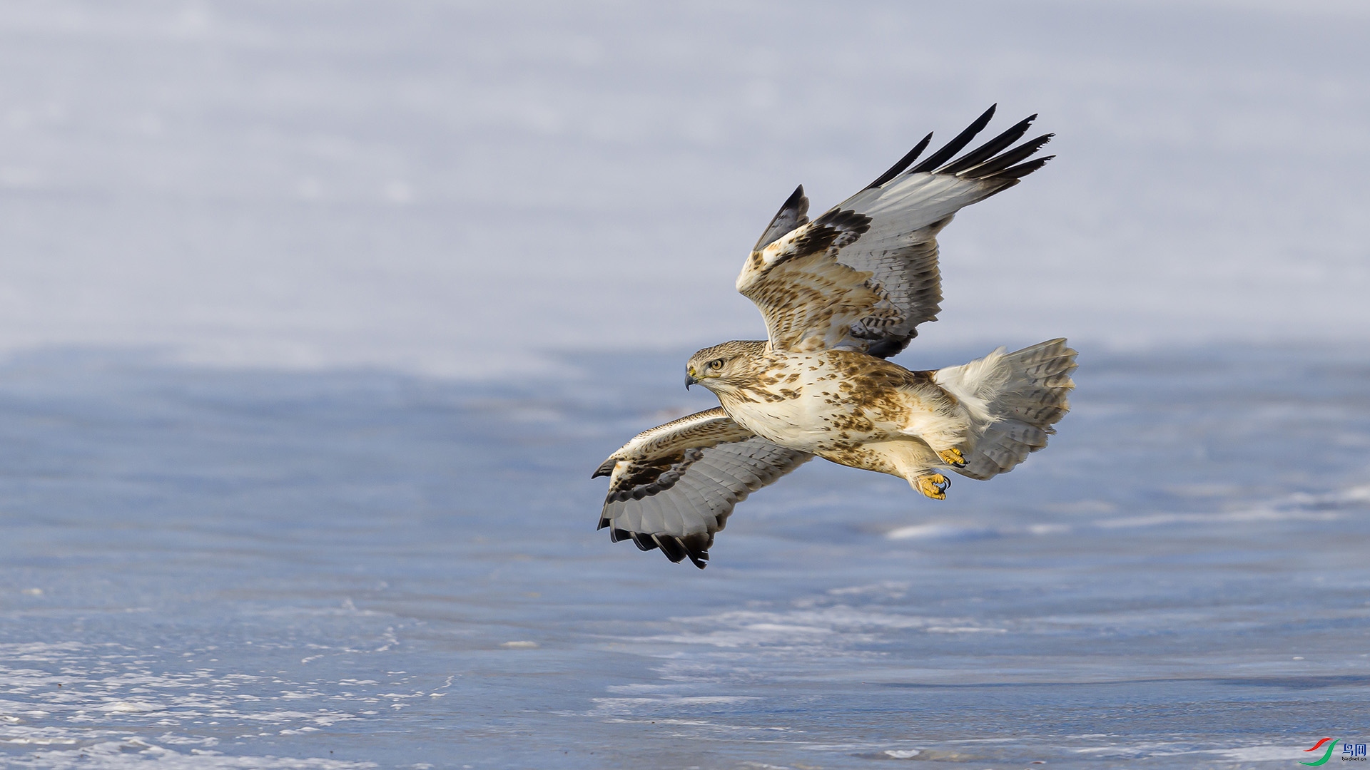 051A0902 ����n.jpg