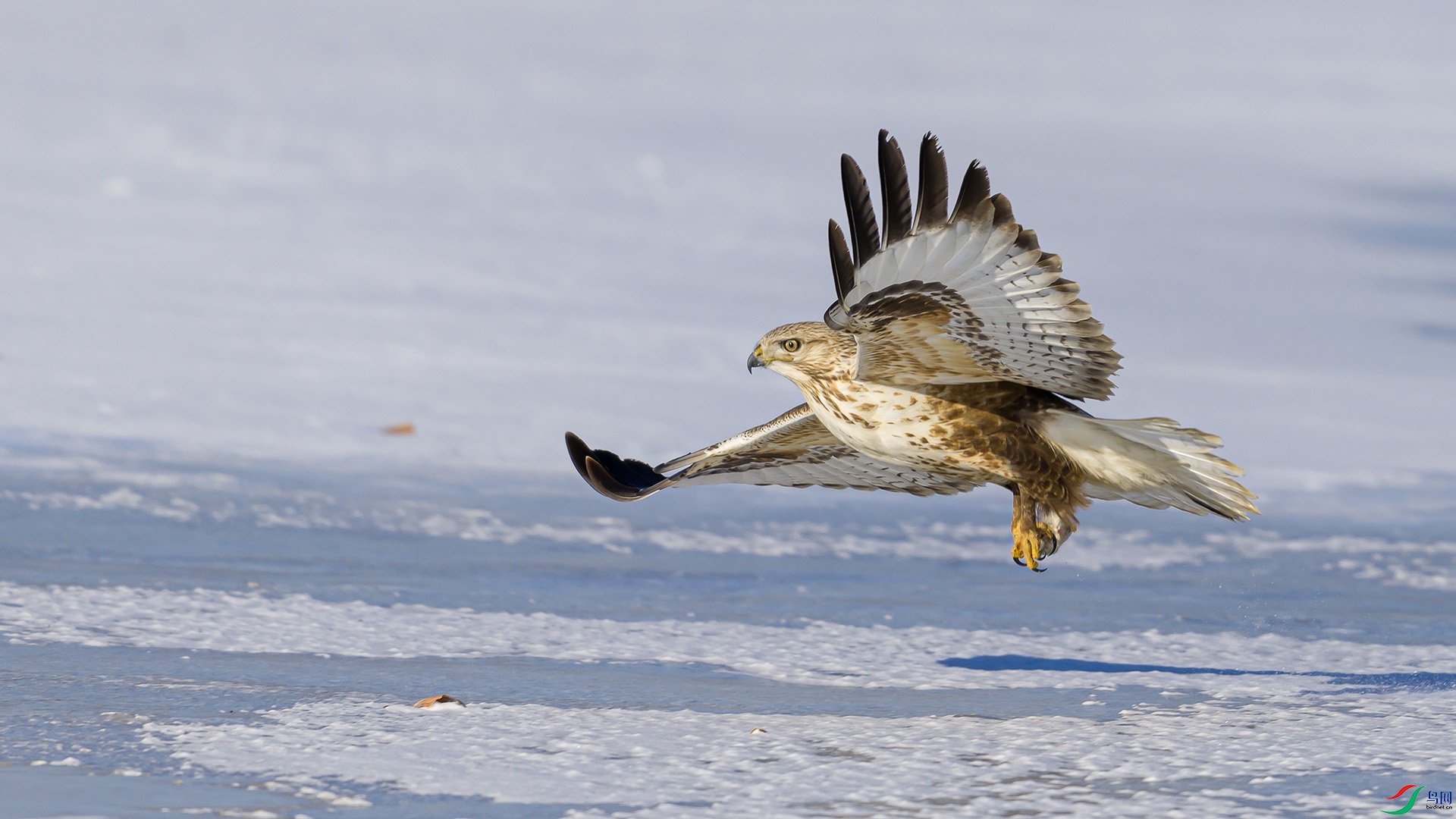 051A0909 ����n.jpg