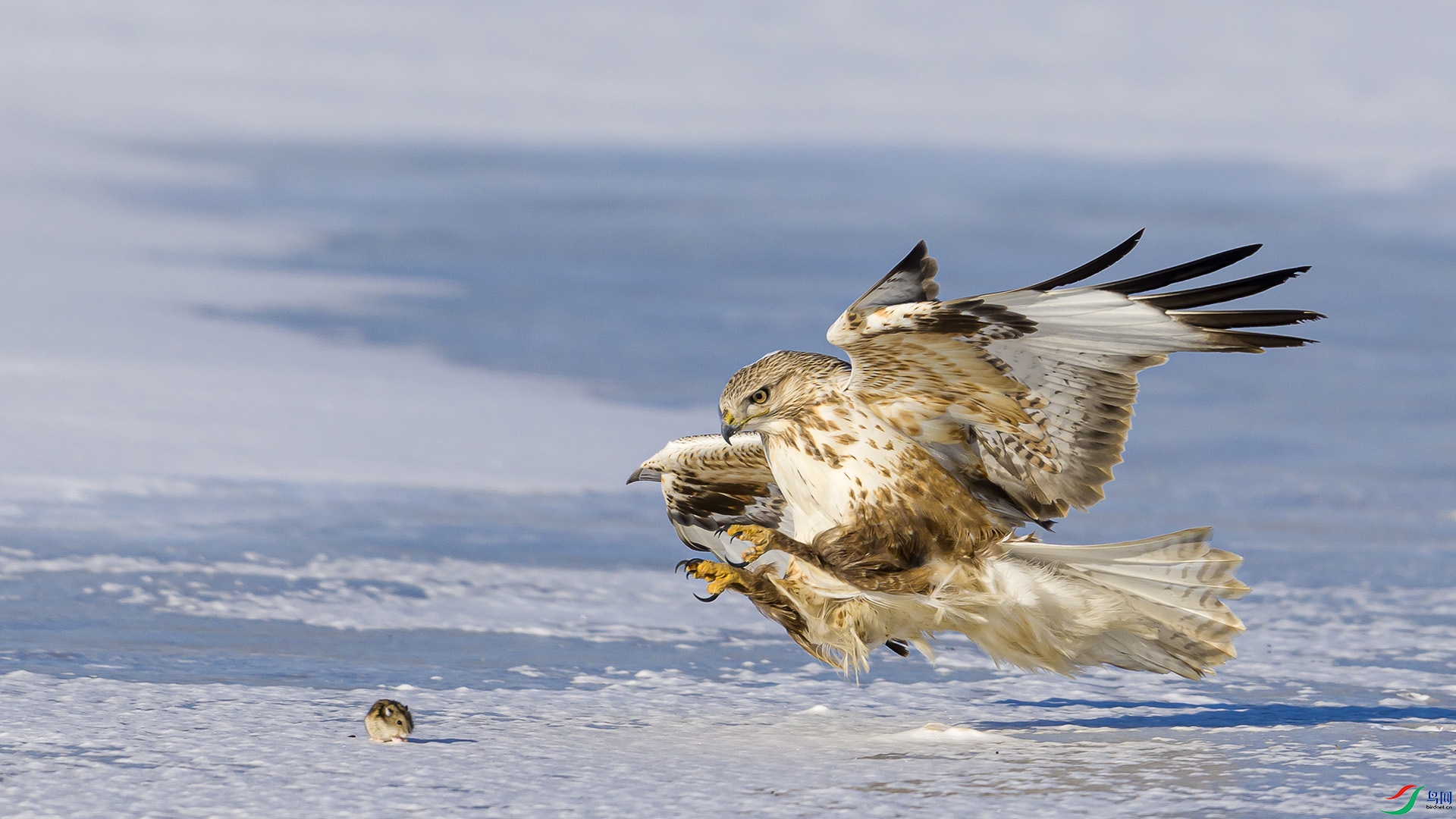 051A0906 ����n.jpg