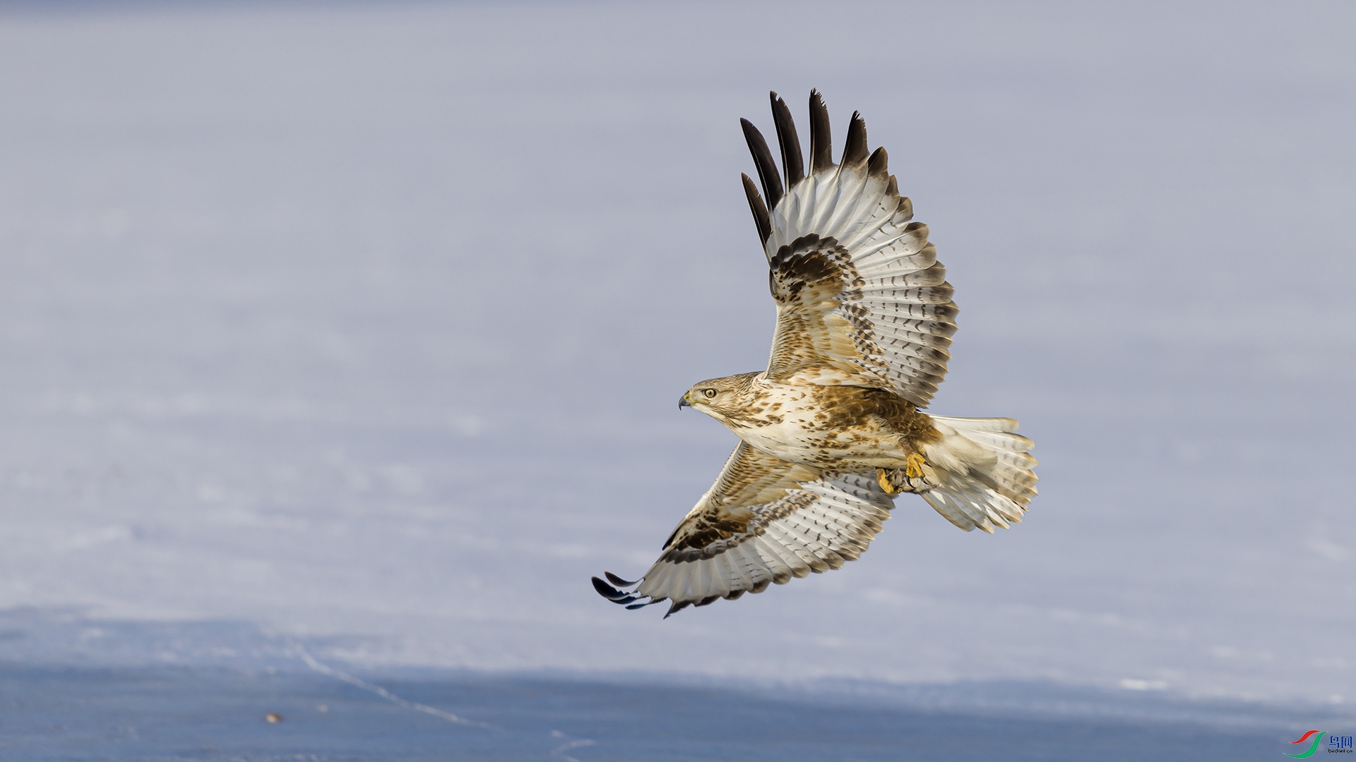 051A0914 ����n.jpg