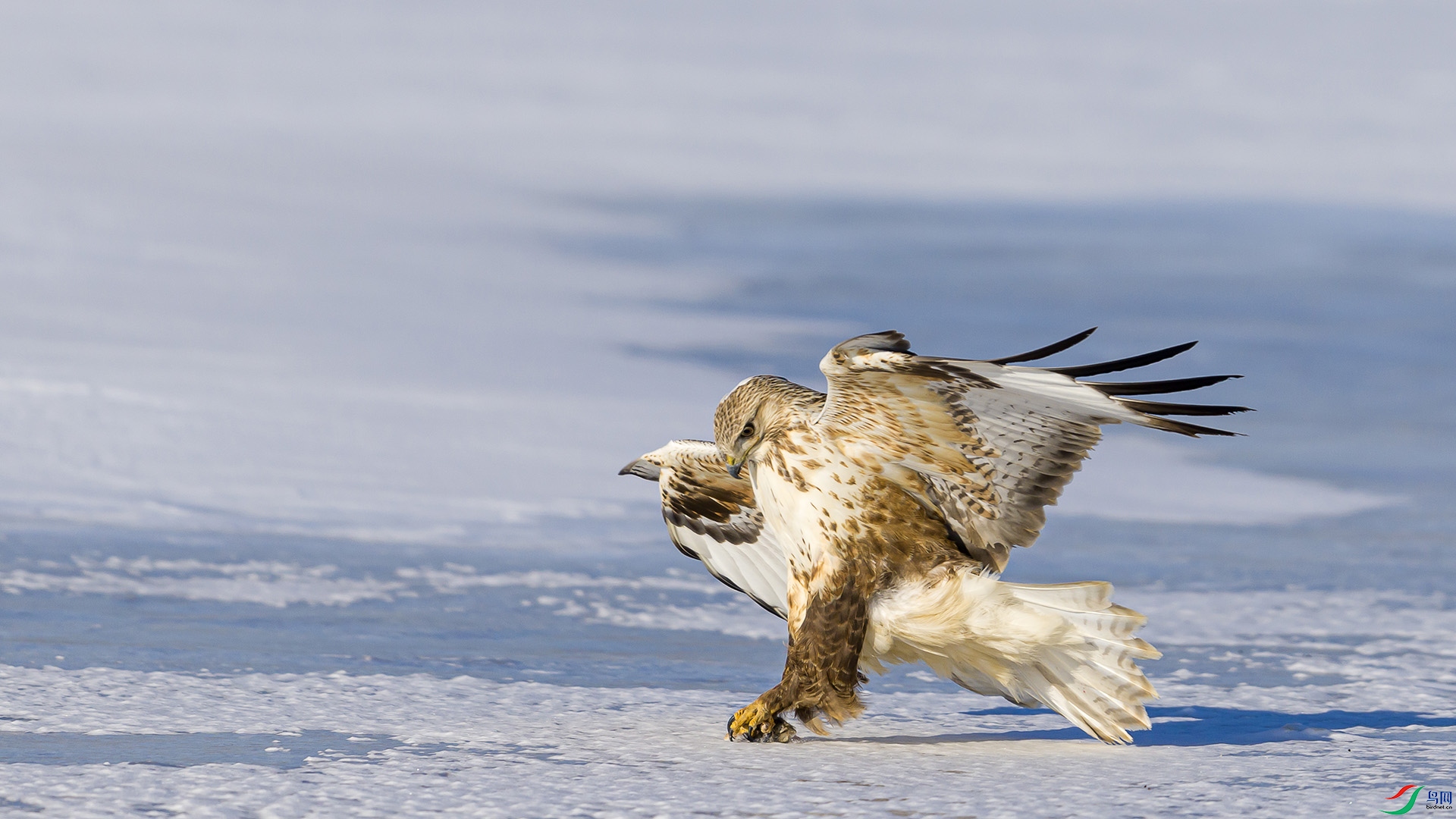 051A0907 ����n.jpg