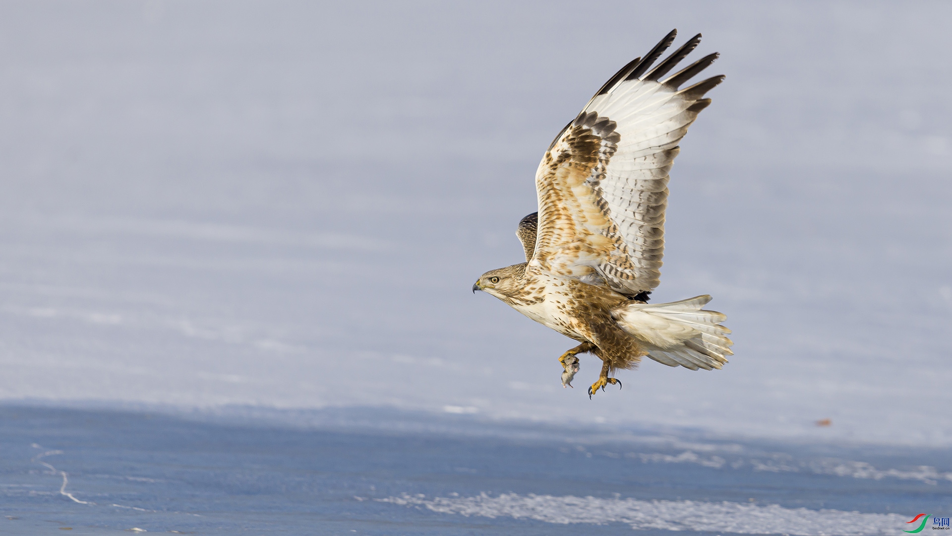 051A0912 ����n.jpg