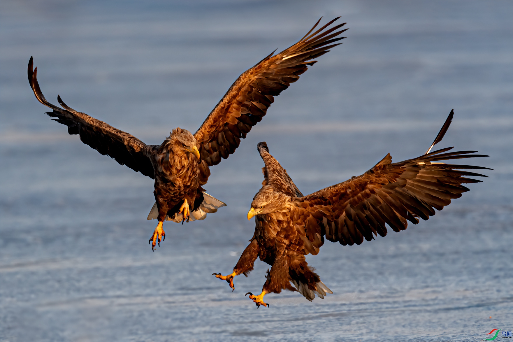 DSC_9395-11.jpg