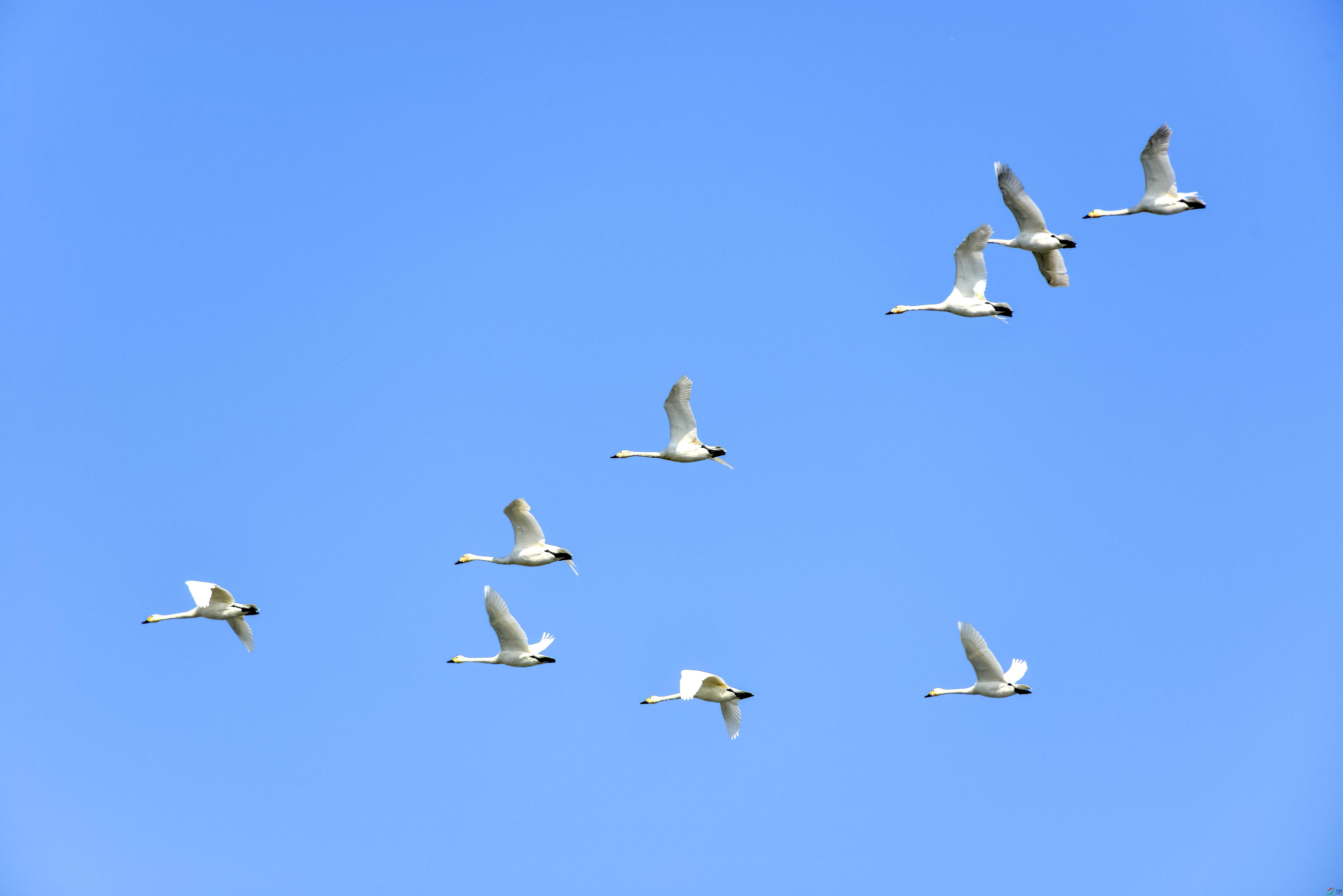 DSC_4338.jpg