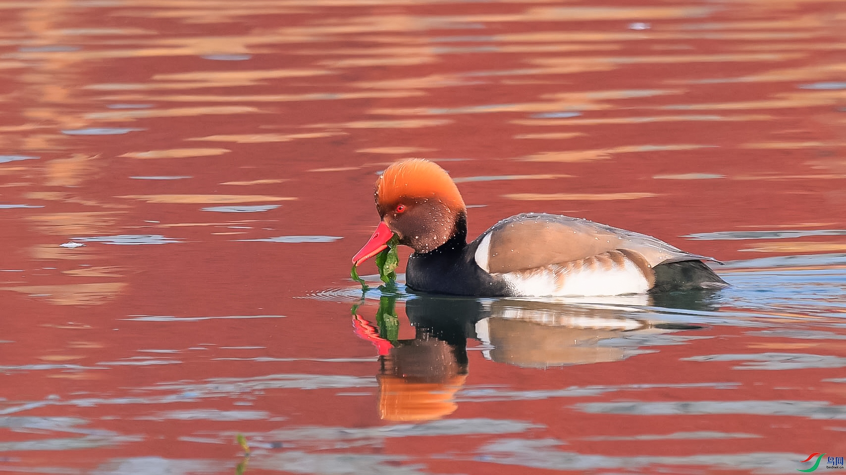 ���������緽��-���� ����.jpg