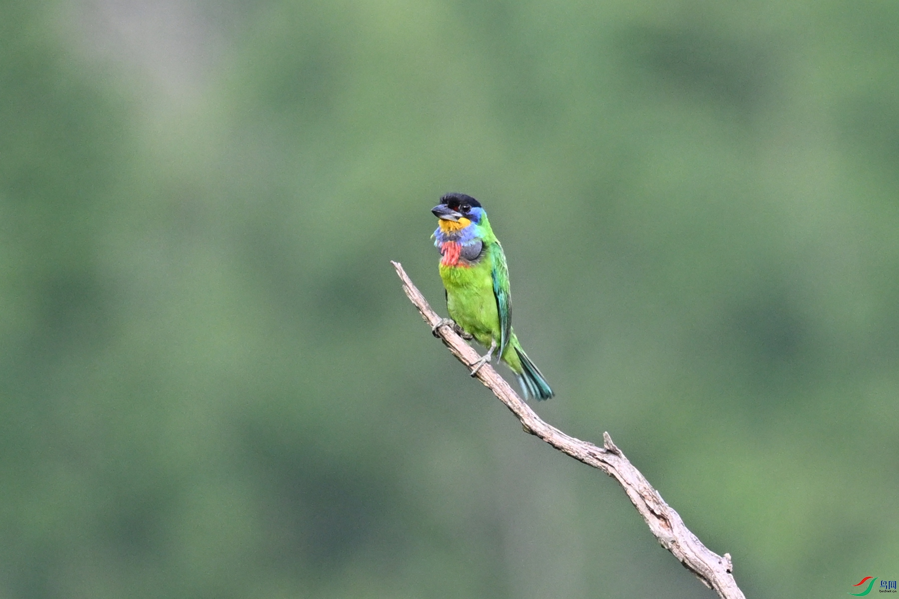 DSC_0210.JPG
