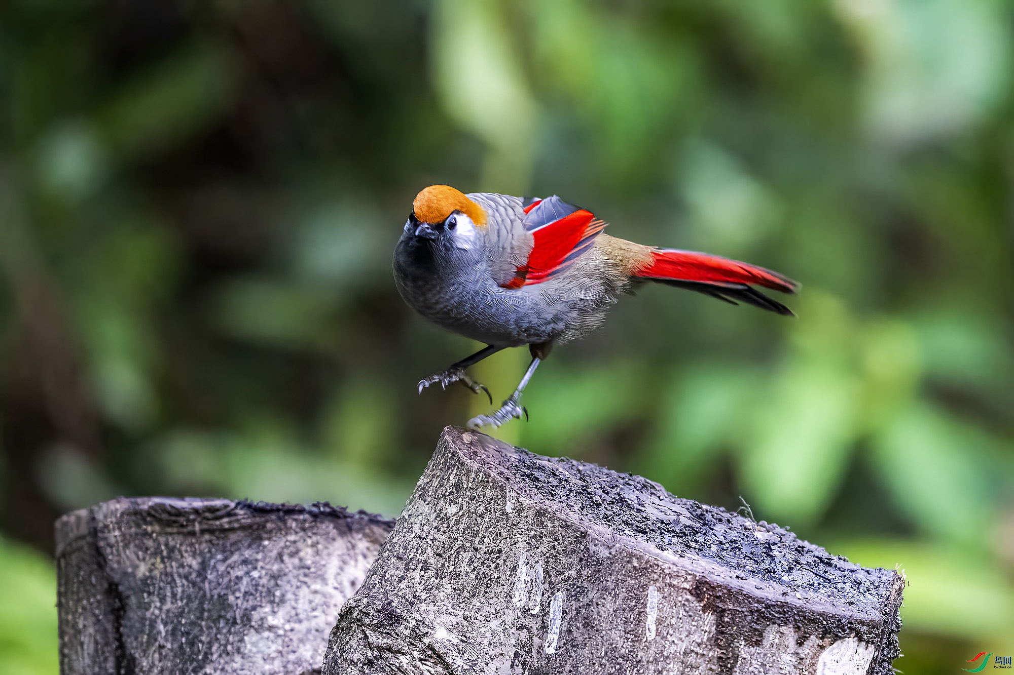 _DSC5681 ���� 2.jpg