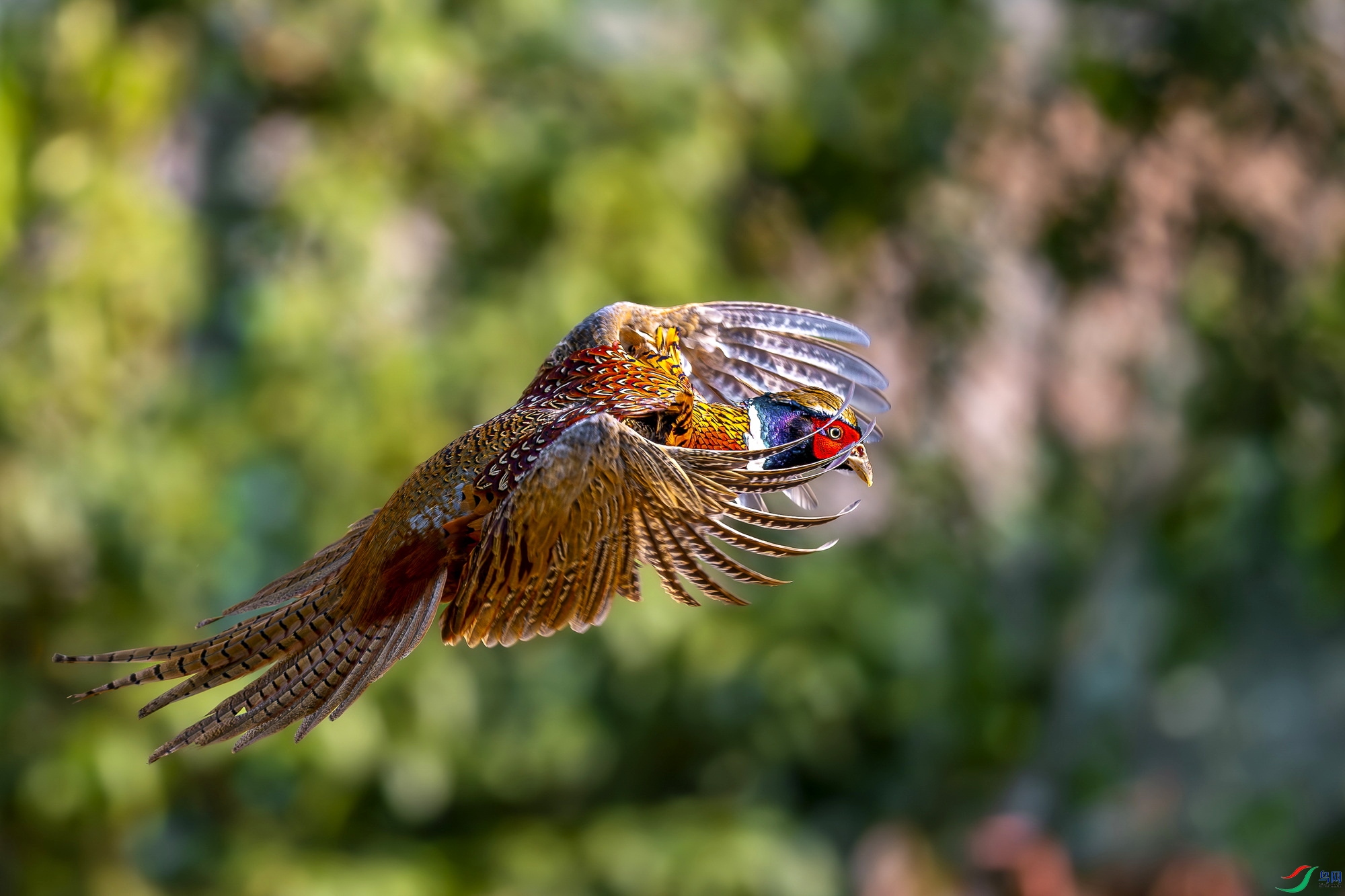_DSC3614.jpg