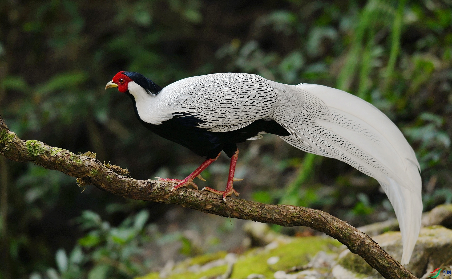 DSC_3302.jpg