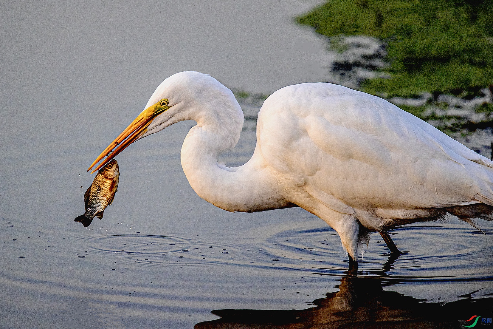 _90I7181 ���� 2.jpg