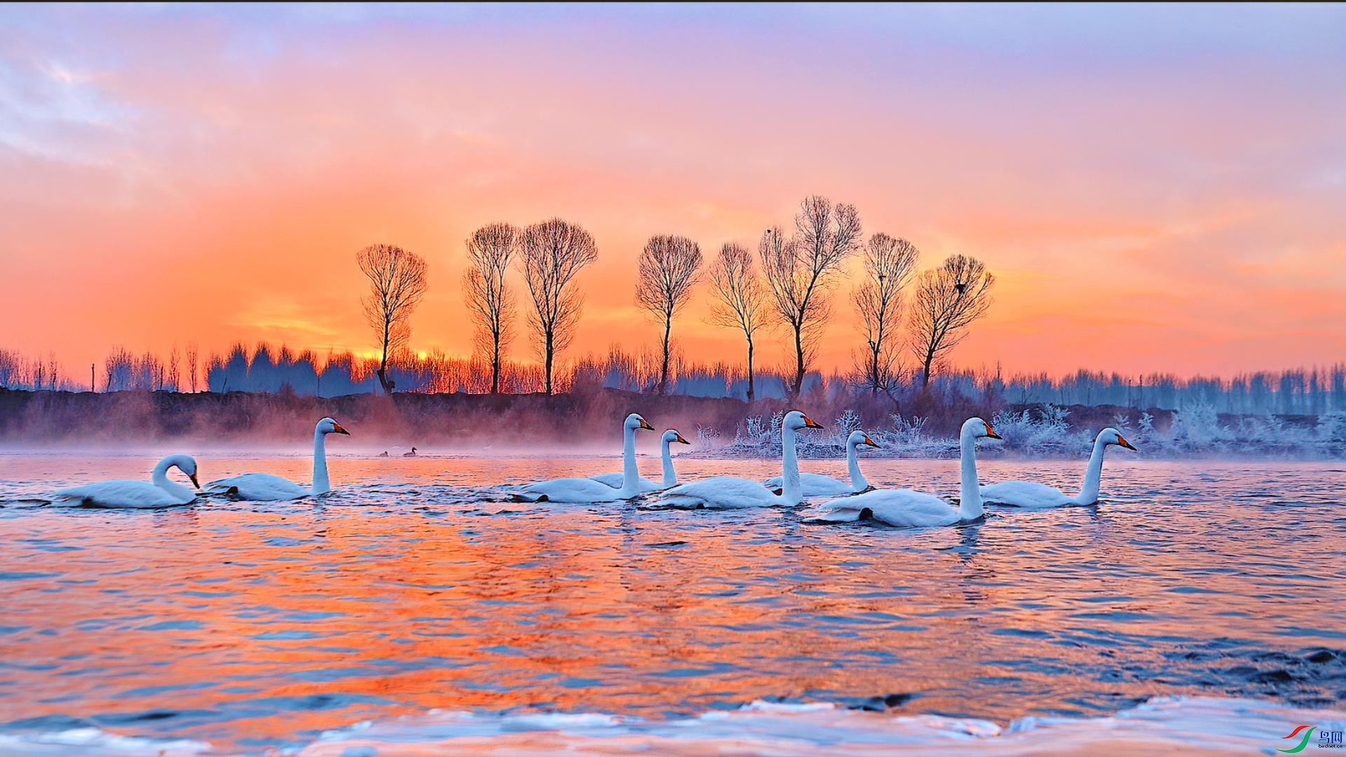 ϼ��ڡ�塤���ĳ��ػþ�